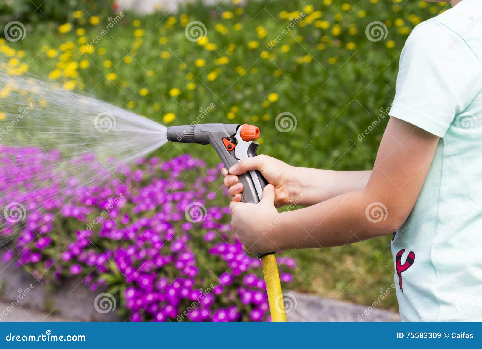 Pistola Per Irrigazione Del Giardino Immagine Stock - Immagine di  irrigazione, giardiniere: 75583309