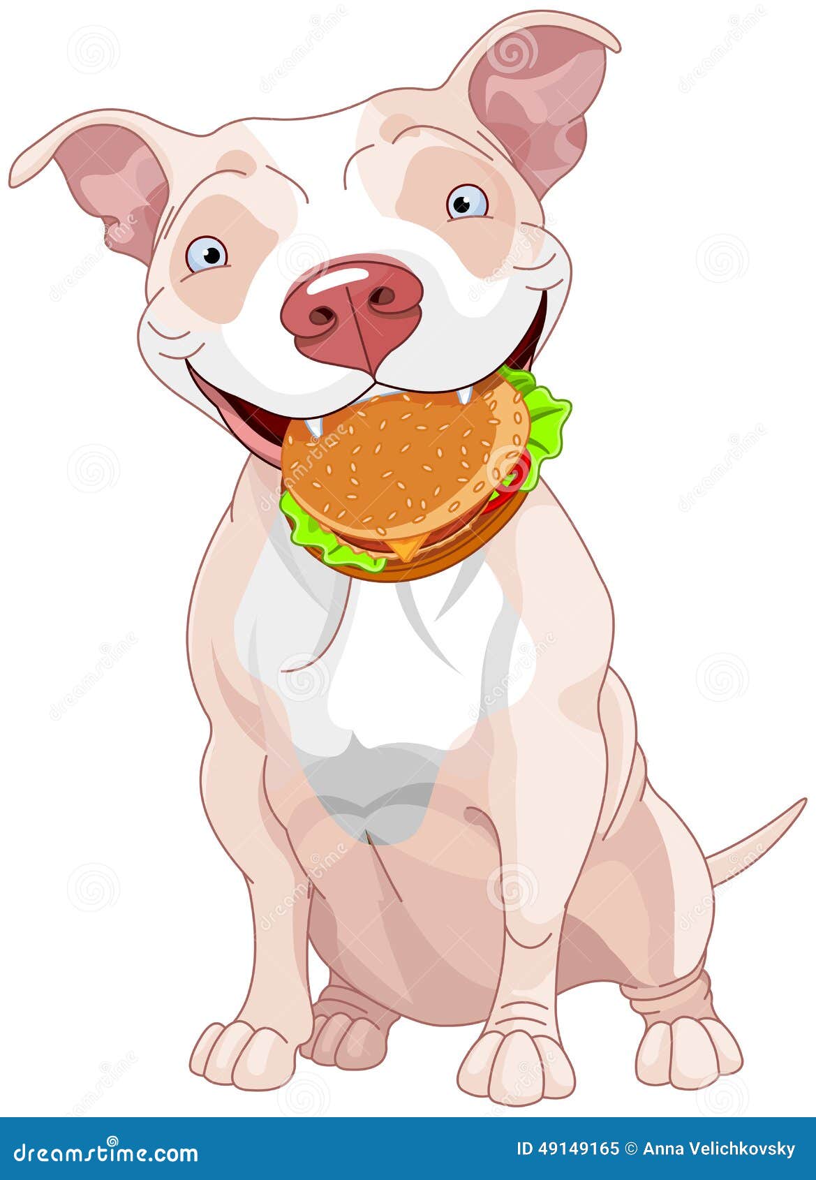 pit bull dog eats hamburger