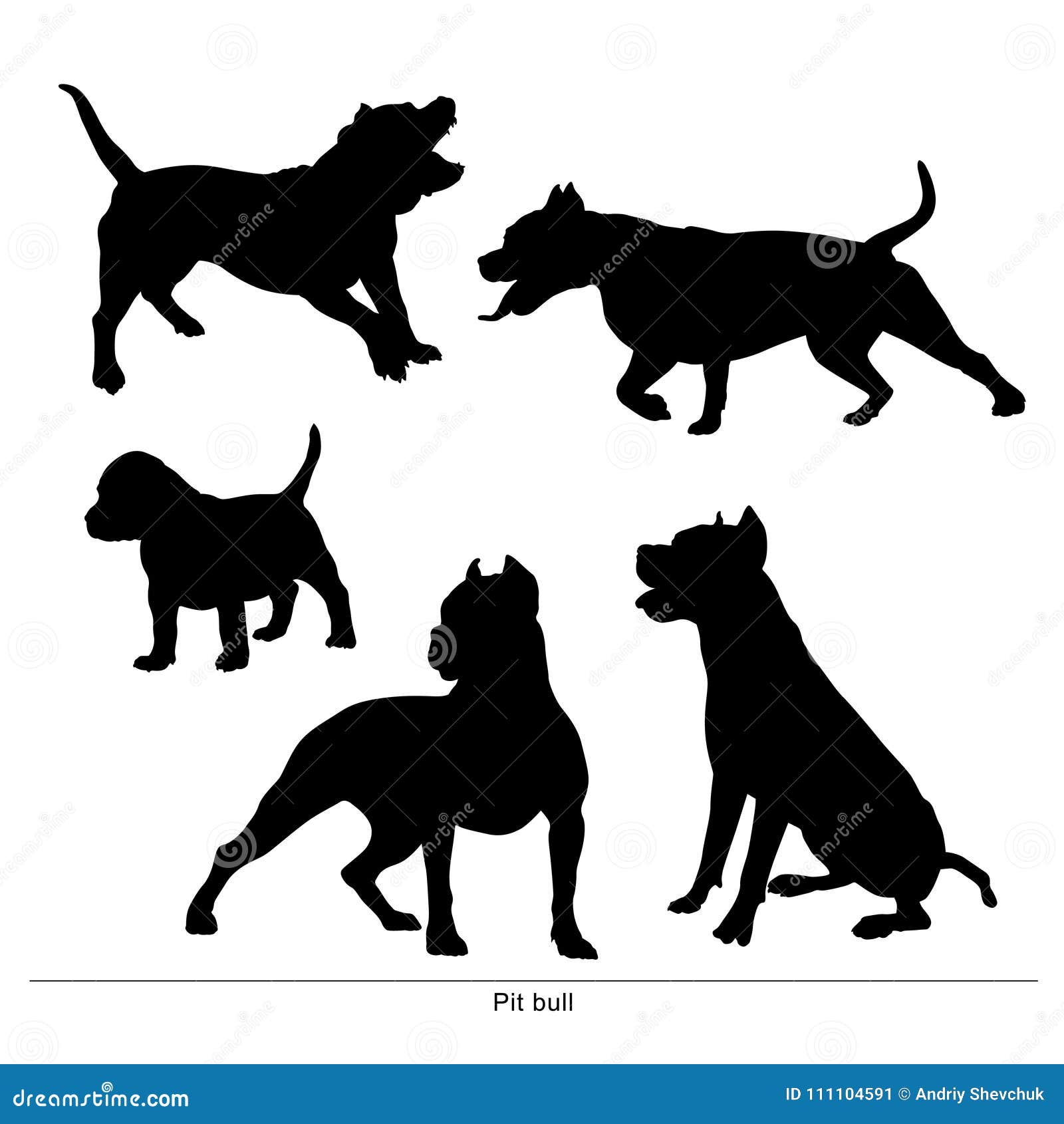 Pit Bull Dog Le Chien Est Grand Et Petit Illustration De