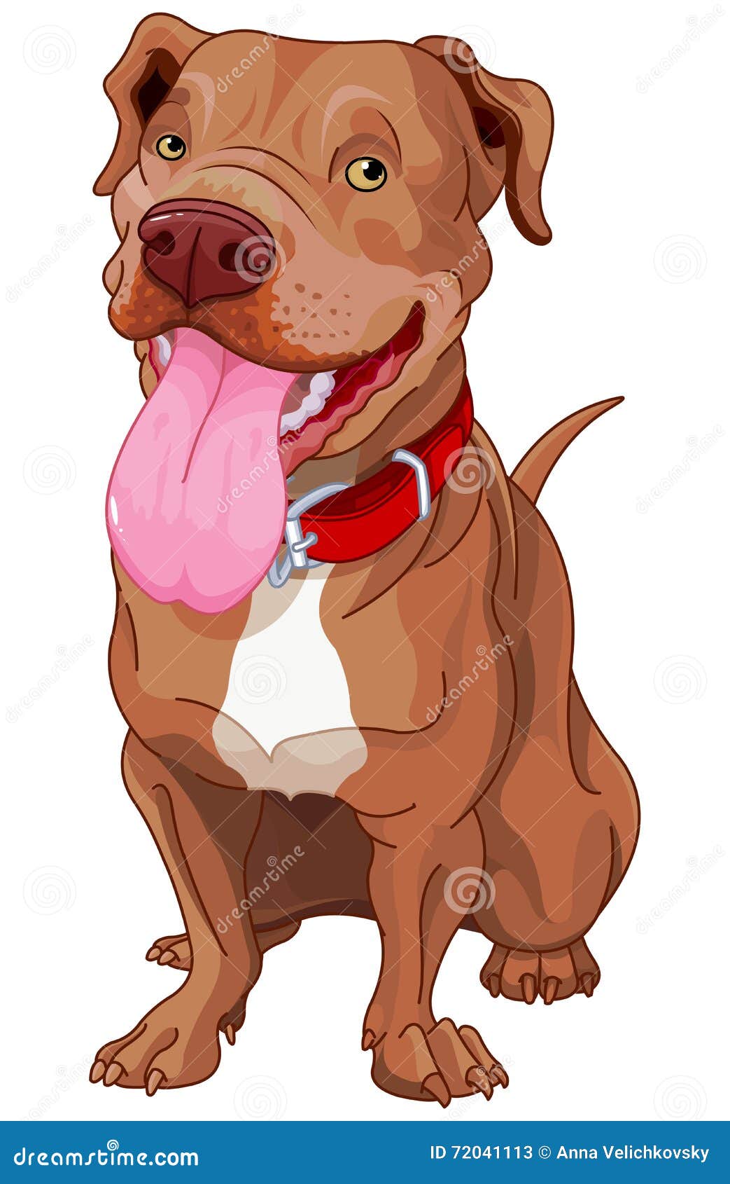 Pit-Bull stock vector. Illustration of drawings, clipart - 72041113