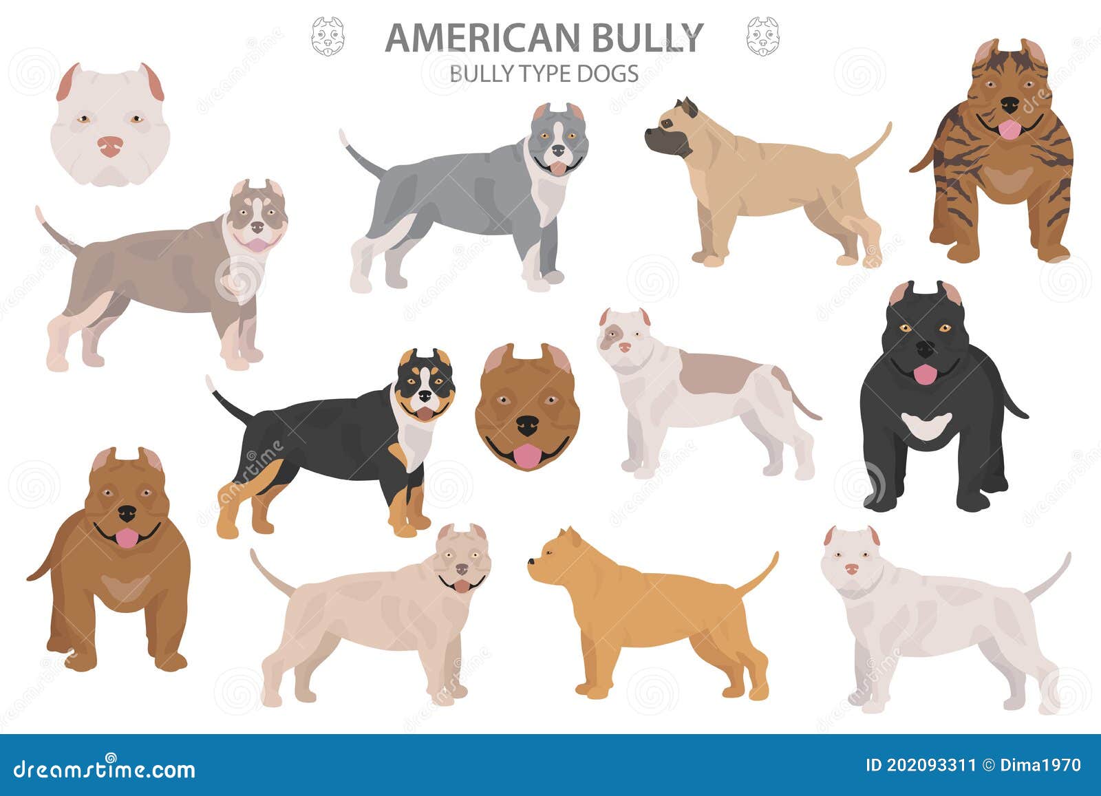 American Bully Dog Types