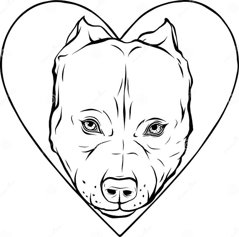 Draw In Black And White Of Pitbull Head Dog In Heart Vector