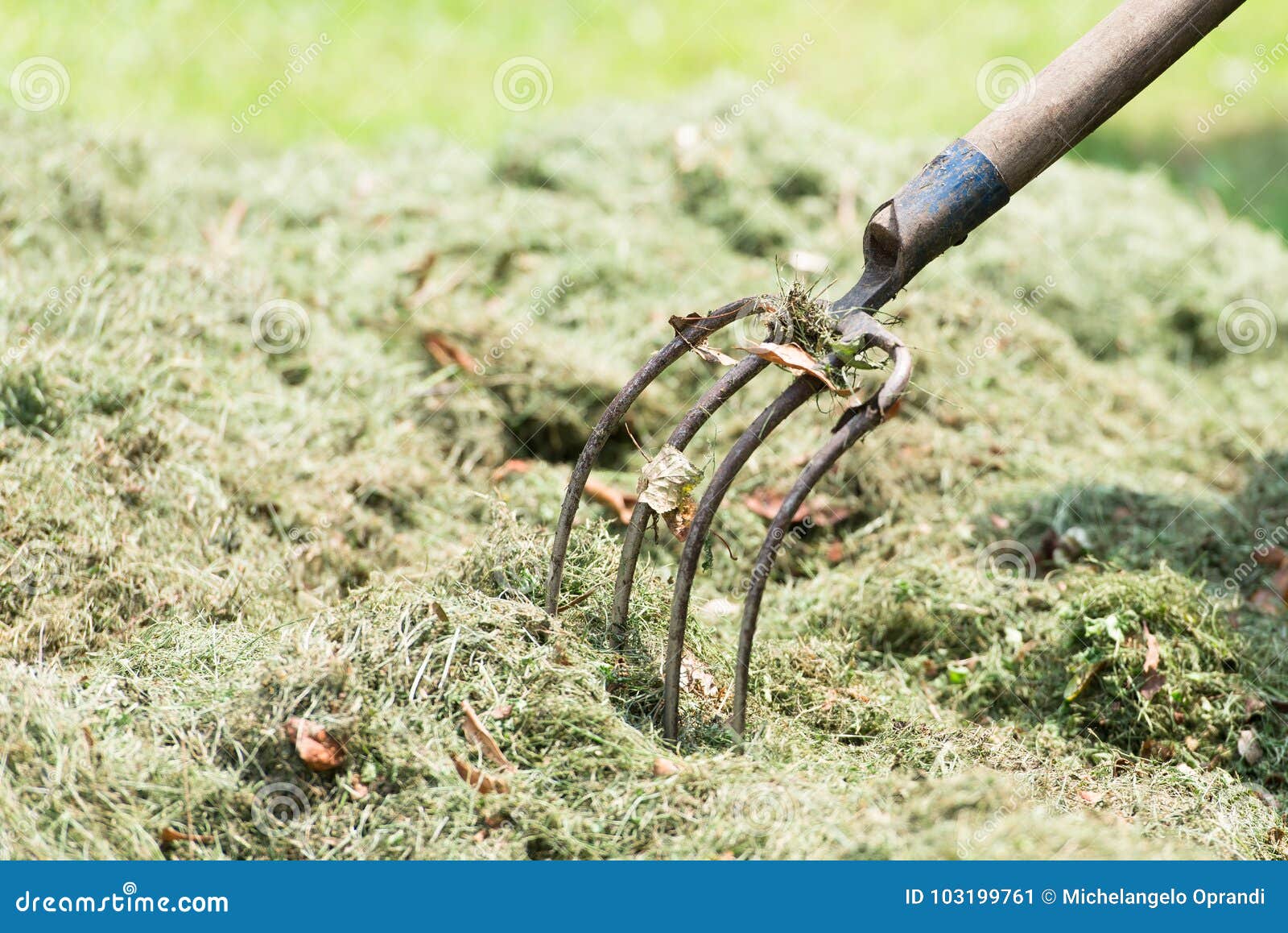 Pitchfork farmer in hay stock image. Image of agricultural 103199761