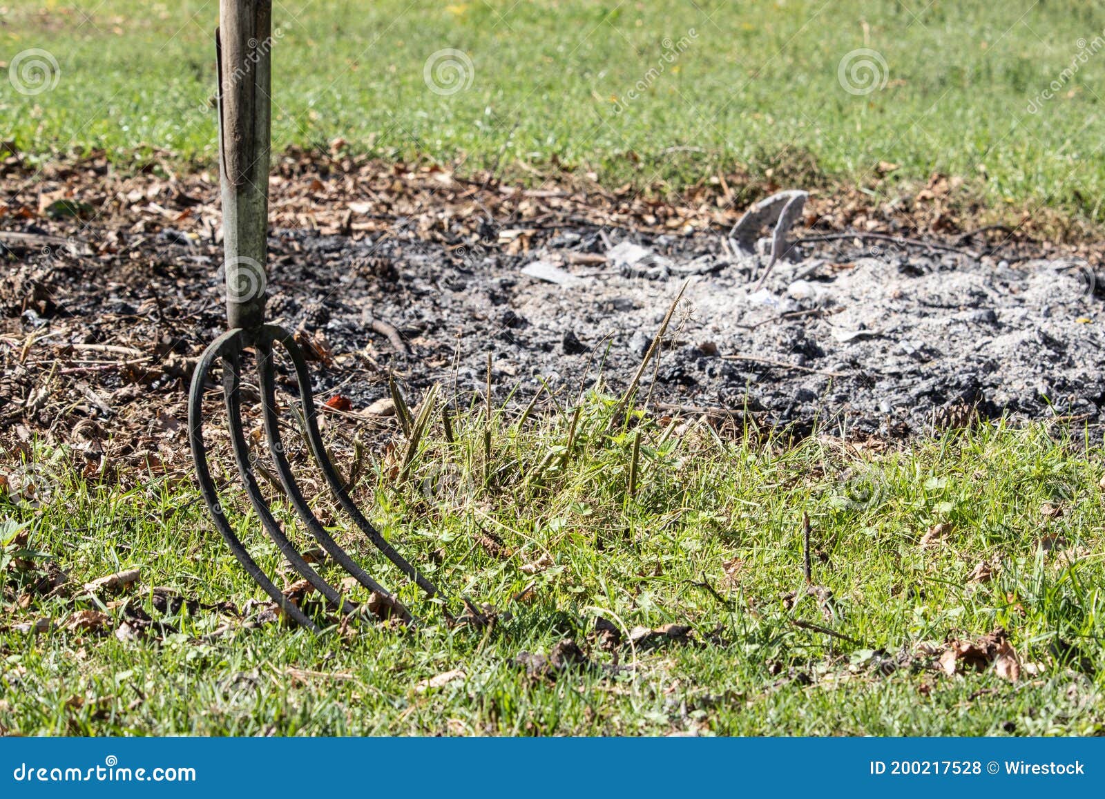 Pitchfork in a garden stock photo. Image of summer, gardening 200217528