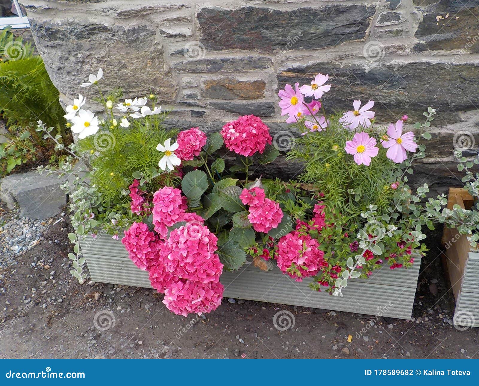 Pitlochry, Flowers. Scotland Stock Photo Image of glasgow, fields 178589682