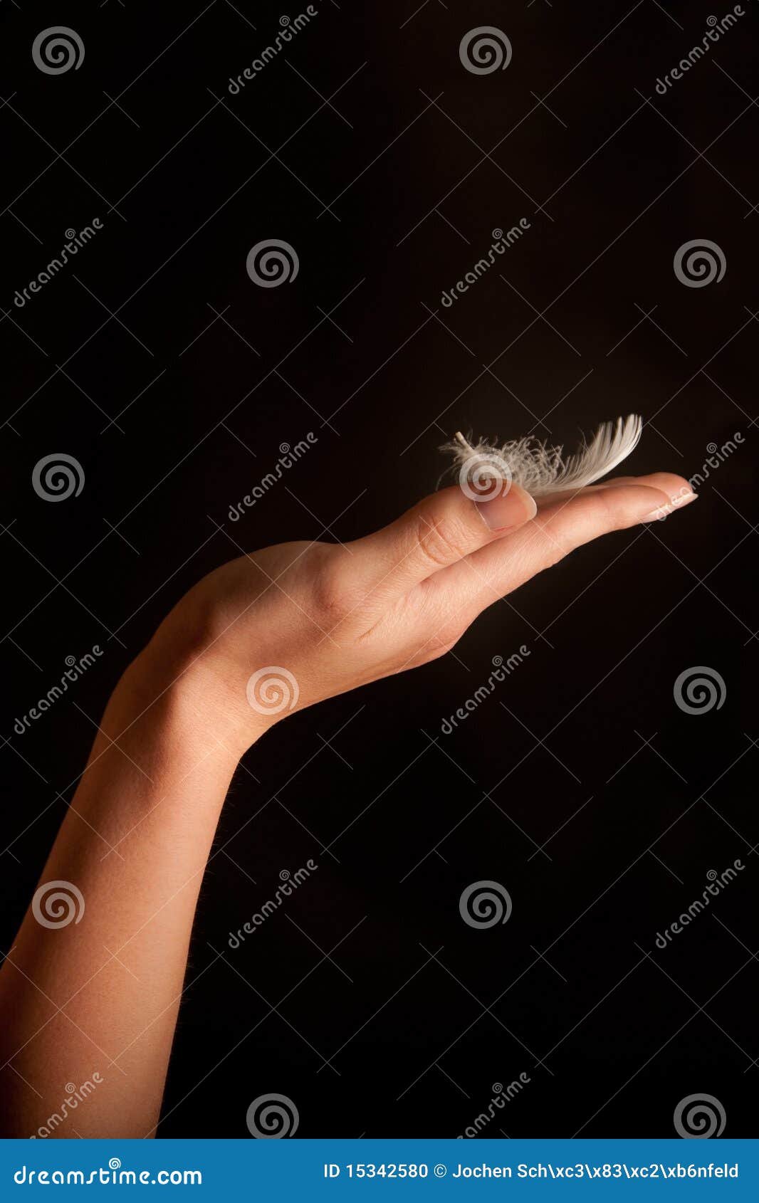 Piuma Sulla Mano Di Una Donna Fotografia Stock - Immagine di bellezza