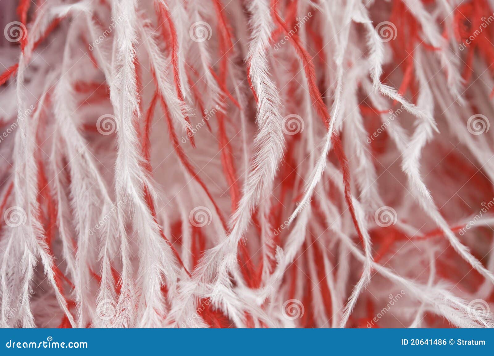 Boa Di Piume Bianche 2 Metri Con Occhiali A Cuore - Costume Anni 20 Per Feste E Carnevale - Foto 11