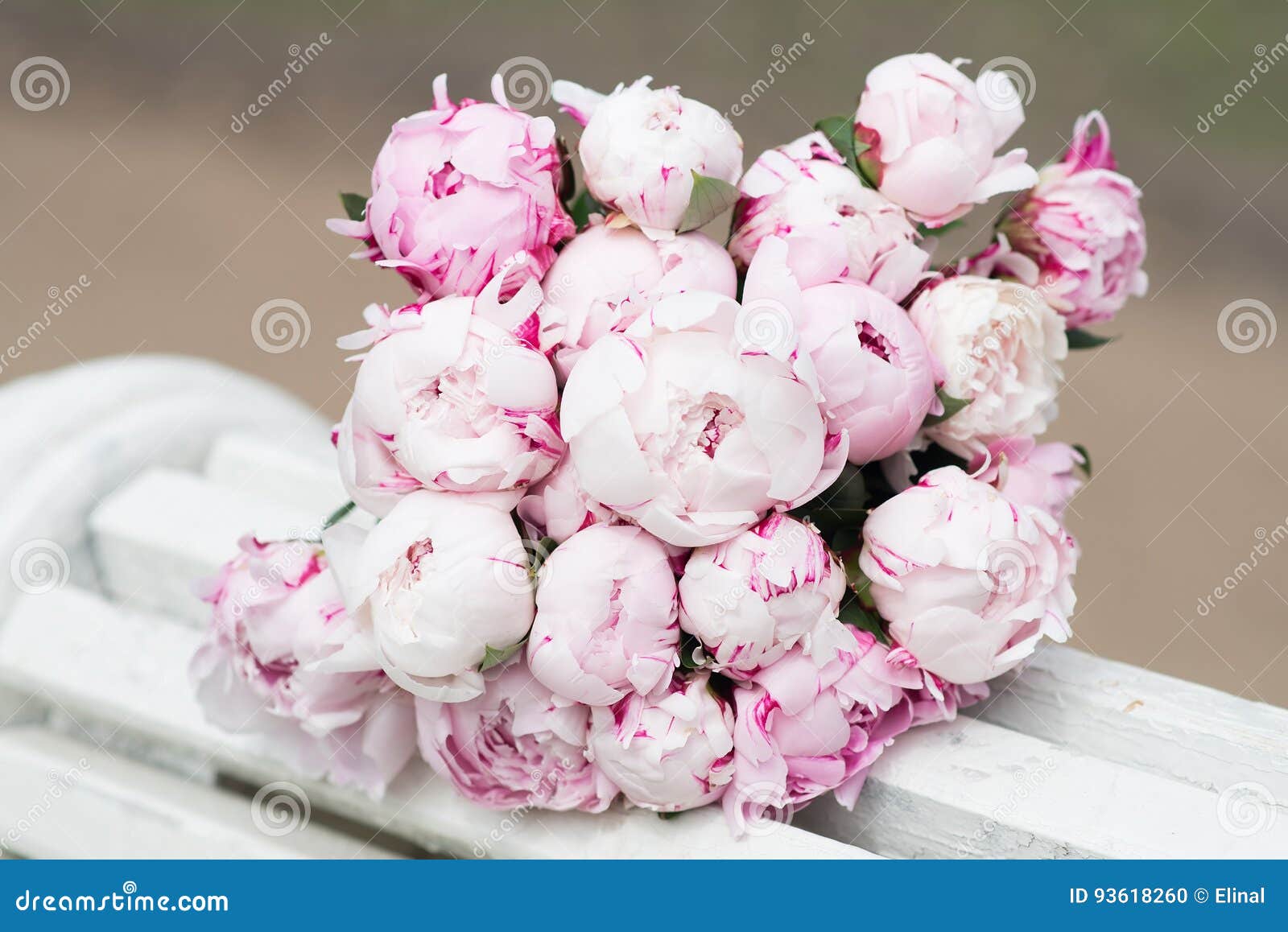 Pivoine Blanche Et Rose Bouquet, Valentine Photo stock - Image du pastel,  fleurs: 93618260