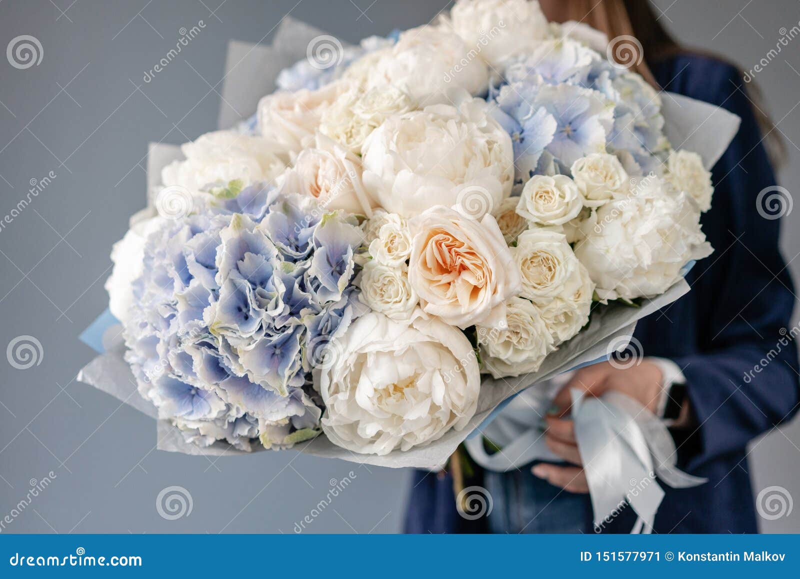 Pivoines Blanches Et Hortensia Bleu Beau Bouquet Des Fleurs M?lang?es Chez  La Main De La Femme Concept Floral De Boutique Frais B Image stock - Image  du occupation, pivoine: 151577971