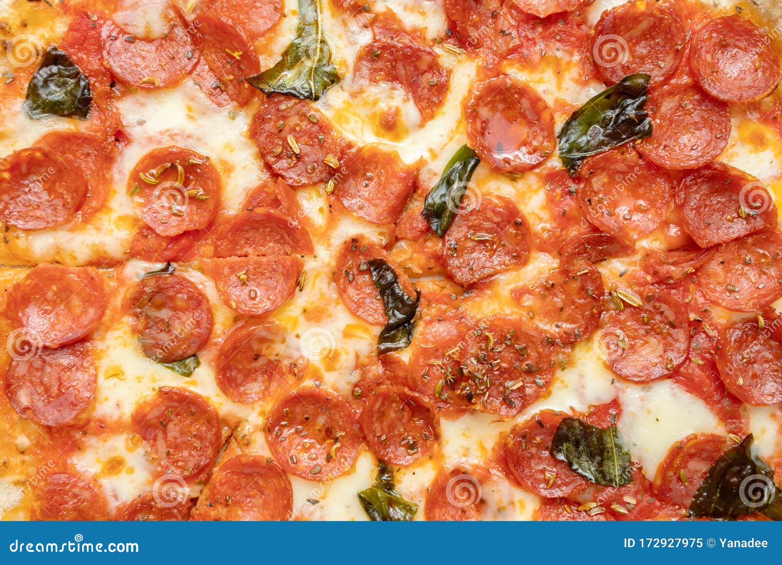 Pizza with Pepperoni Sausages, Cheese, Basil and Spices Stock Image