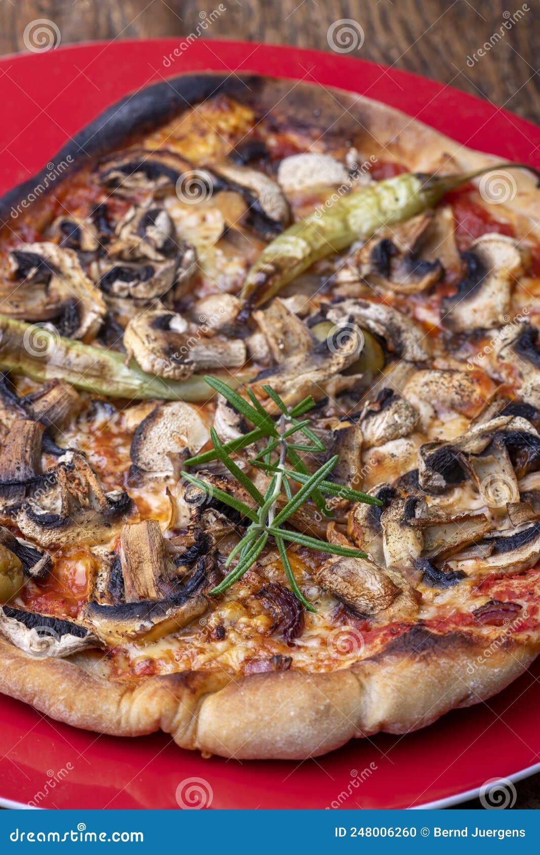 Pizza stock photo. Image of pepper, mozzarella, gourmet 248006260