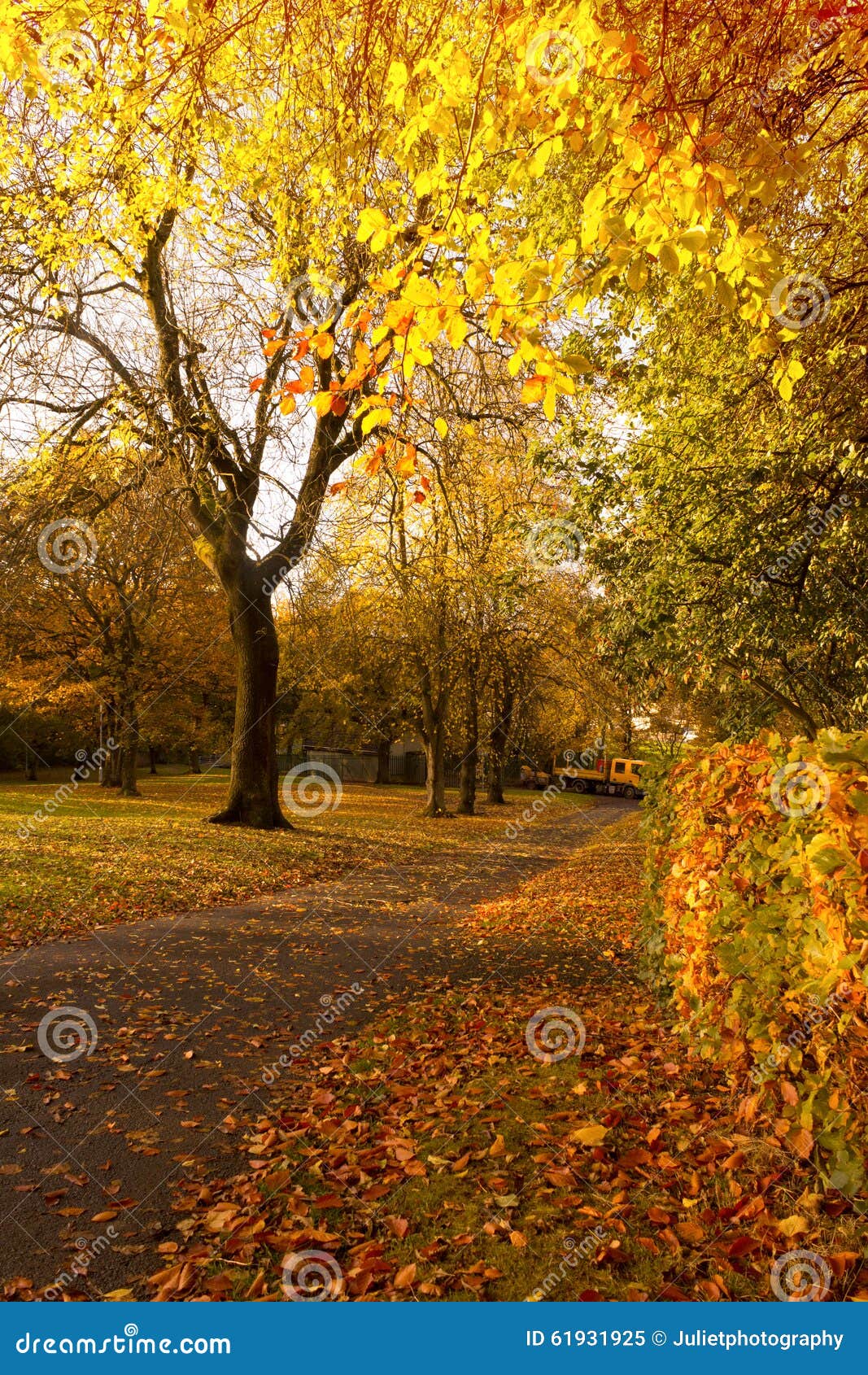Piękni i jaskrawi jesienni drzewa w Szkockim parku z popołudniowym światłem słonecznym. Piękni i jaskrawi jesienni drzewa w Szkocja