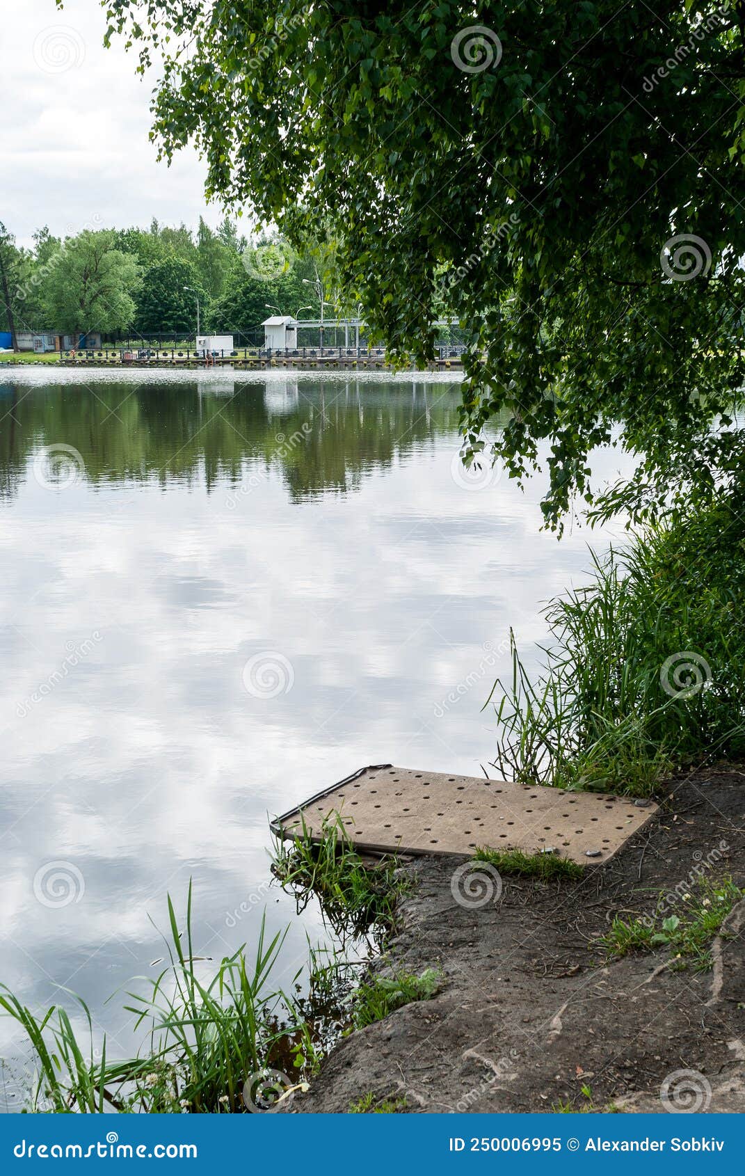 Place on the Pond Where You Can Sit by the Water Stock Image Image of