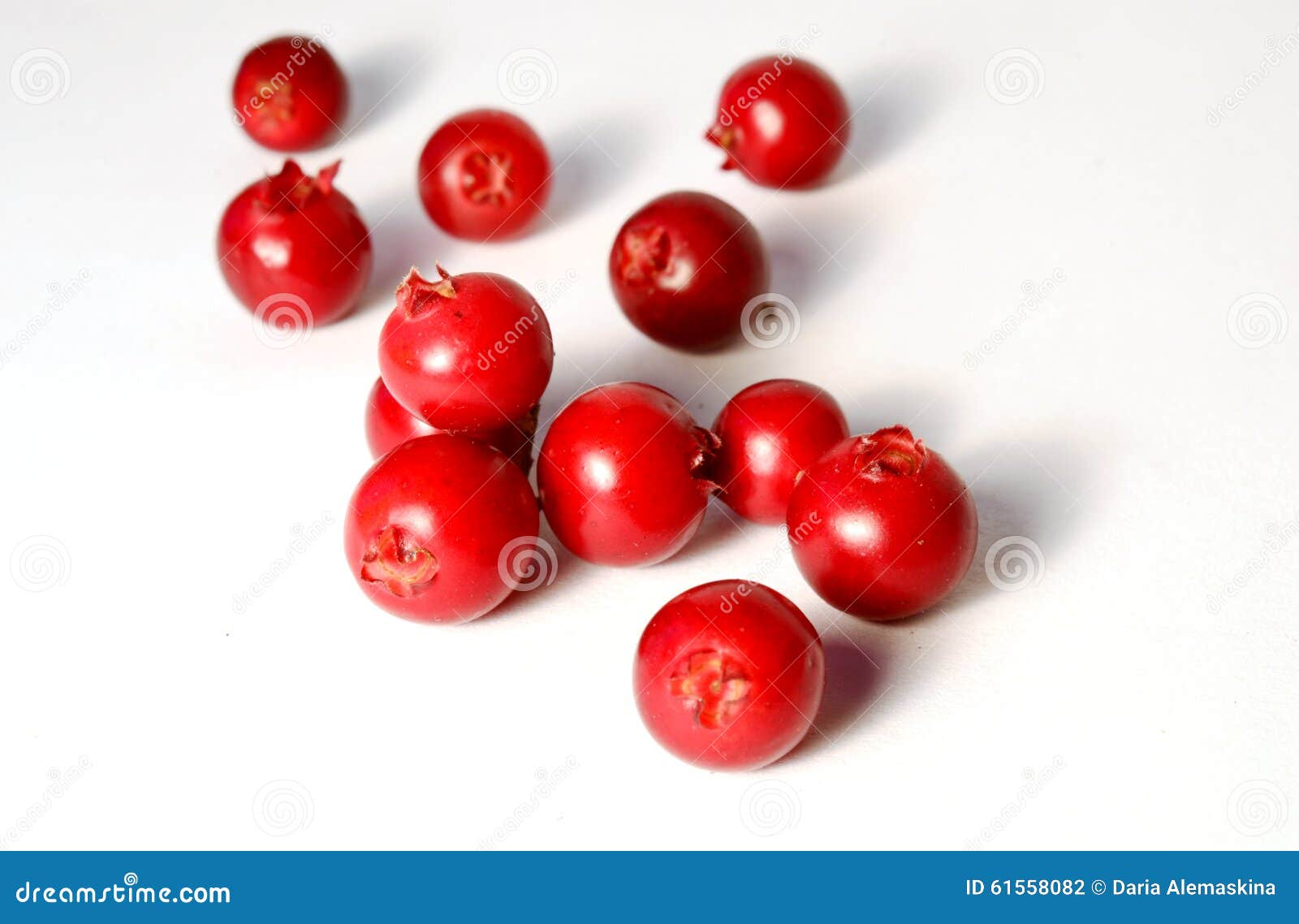 placer of fresh ripe cranberries or cowberries on white