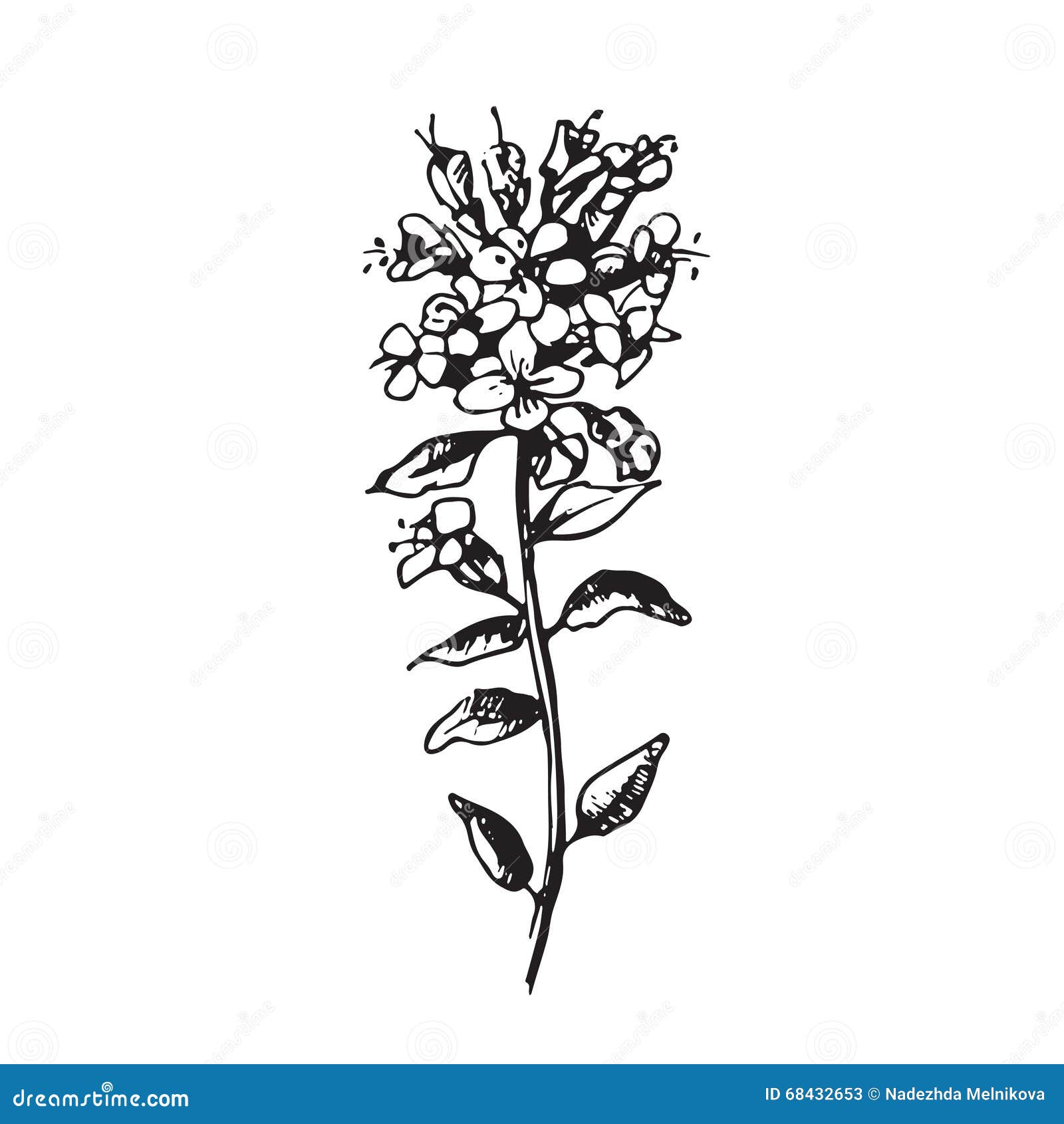 Placez Avec Des Fleurs De Dessin Illustration De Vecteur