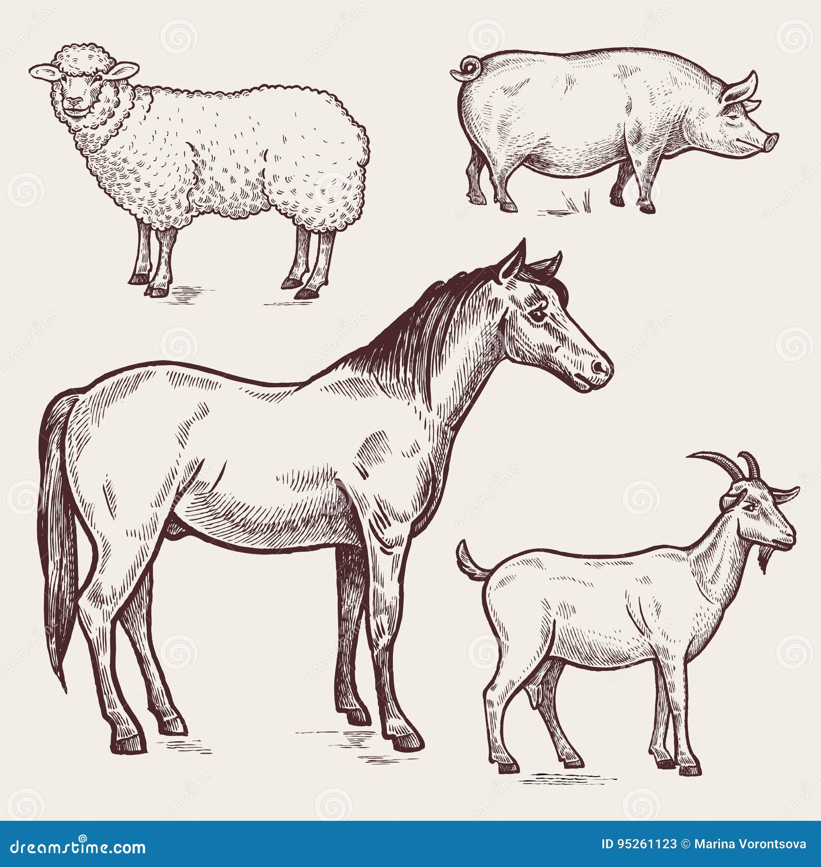 Корова коза овца свинья. Корова овца лошадь. Домашние животные Графика. Корова и лошадь. Рисунки сельскохозяйственных животных.