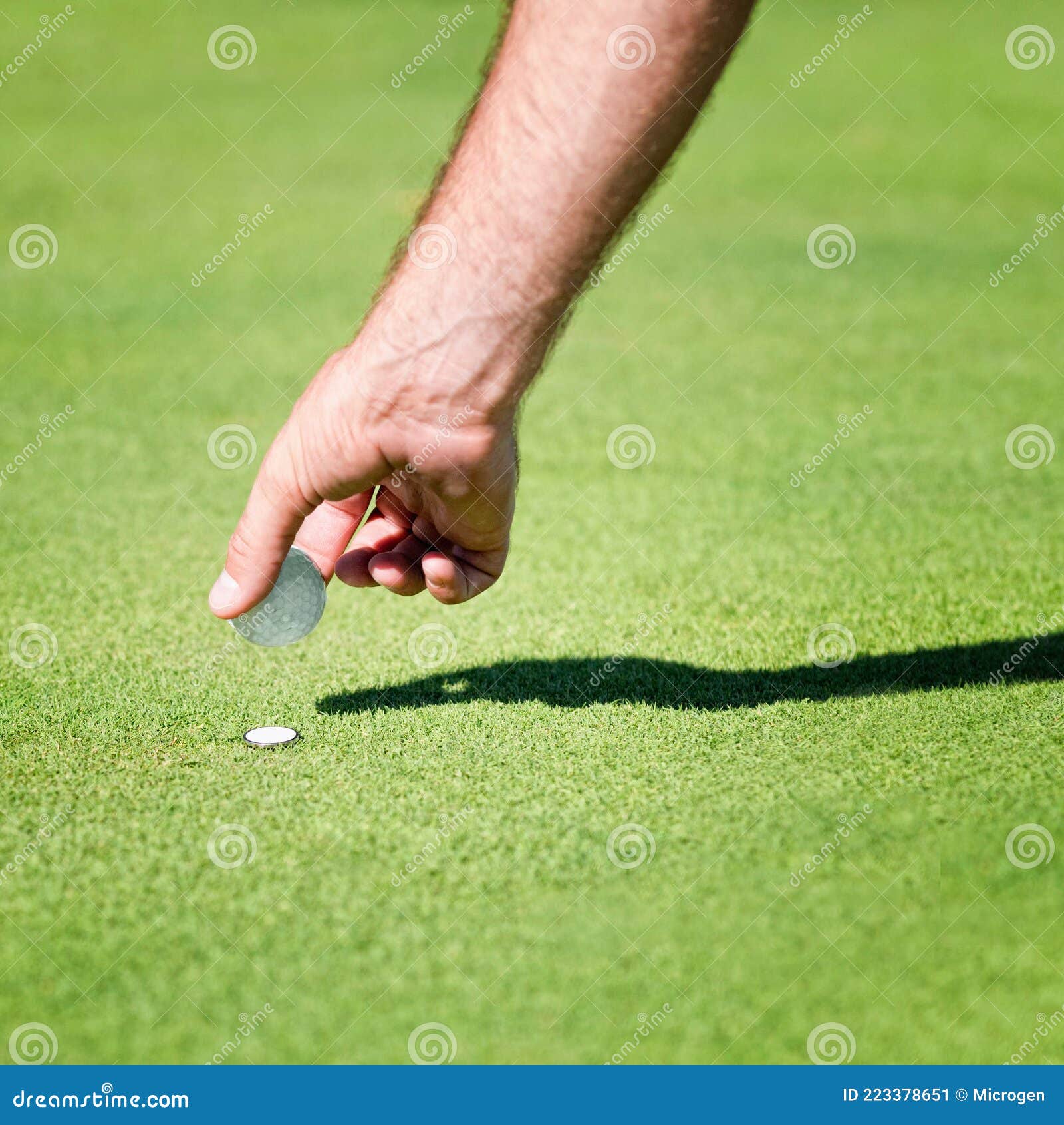 Placing golf ball stock image. Image of grass, pocket 223378651