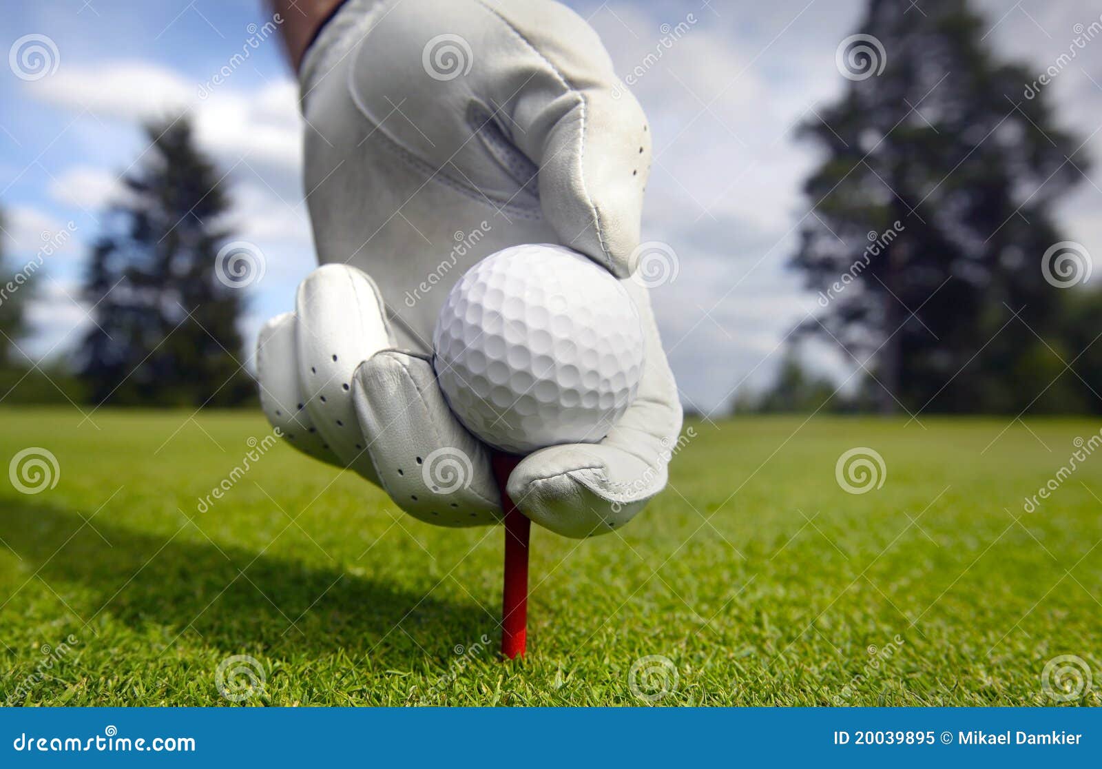 Placing golf ball on a tee stock image. Image of green 20039895