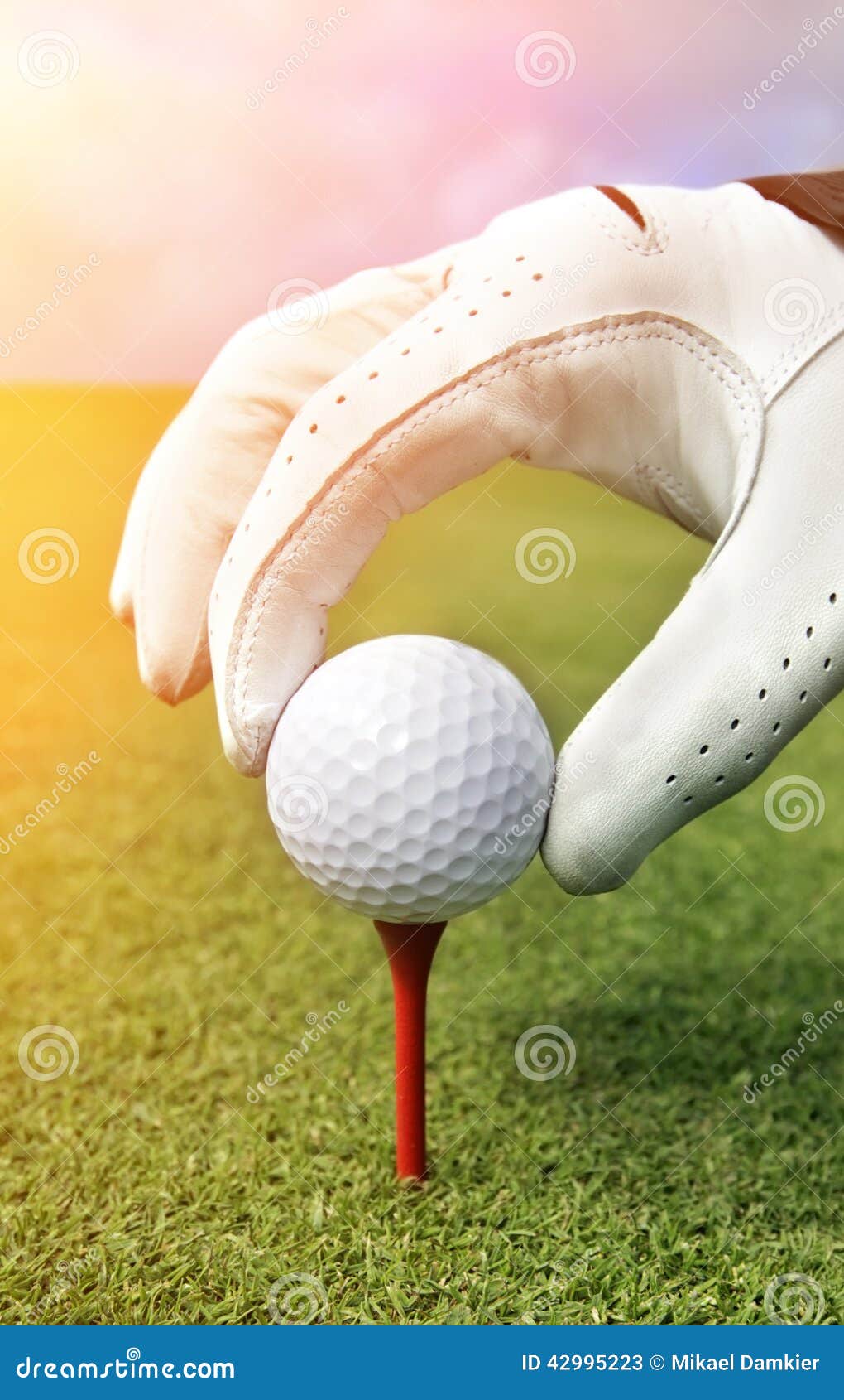 Placing golf ball on a tee stock image. Image of green 42995223