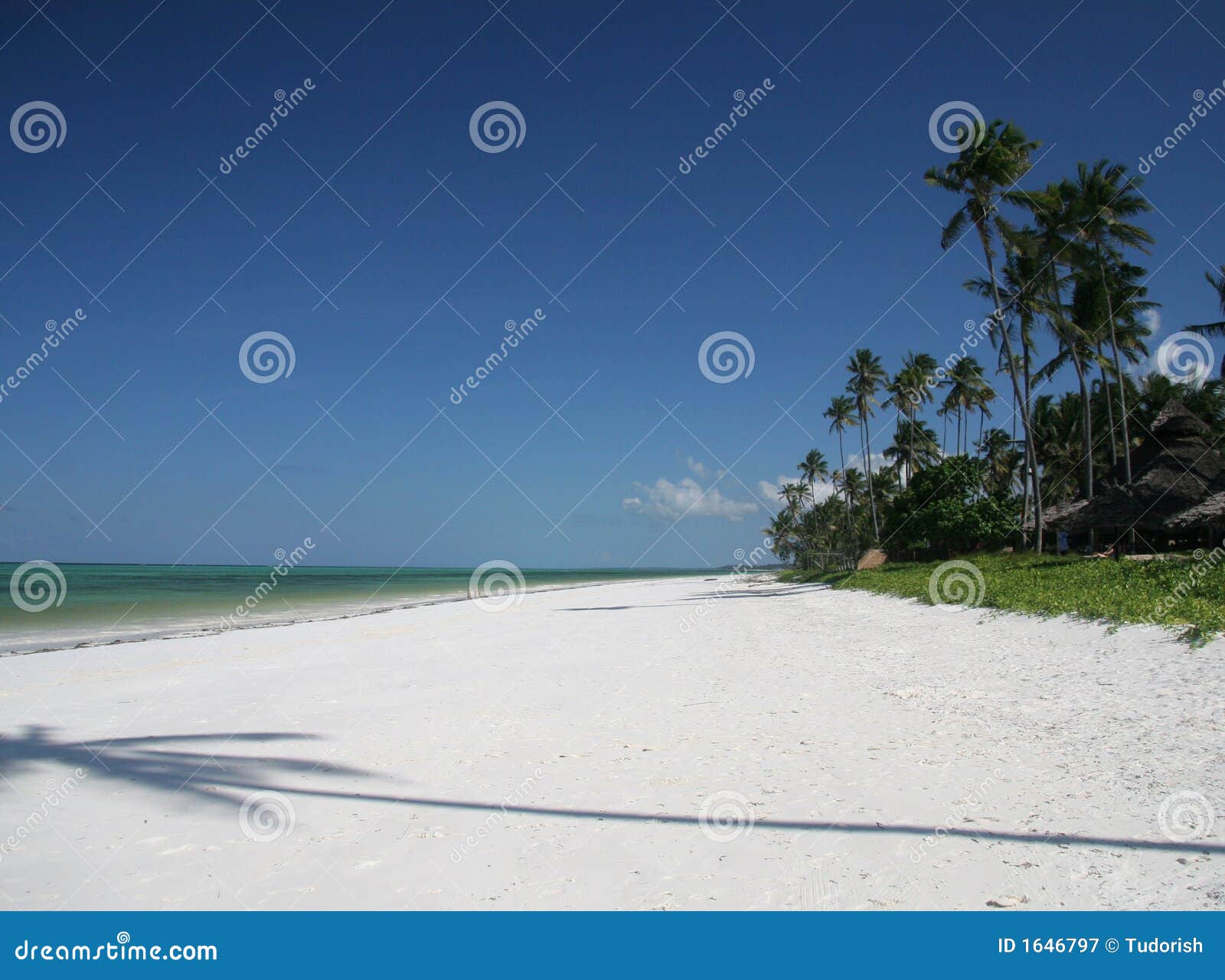 Plage à Zanzibar Image Stock Image Du Rêver Vacances 1646797