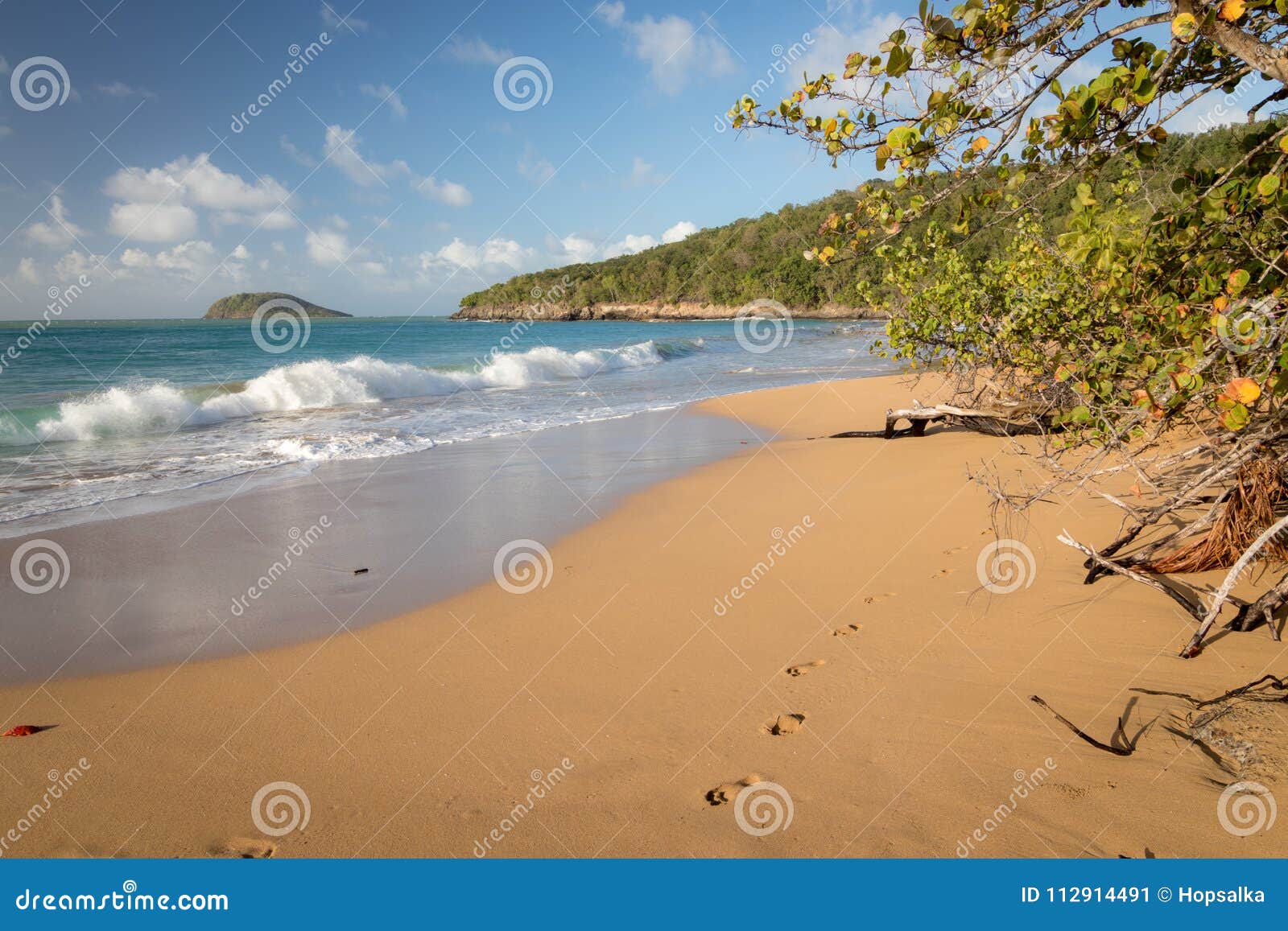 Plage De La Perle Guadeloupe Caribbean Stock Image Image Of Beach Beautiful Plage De La Perle Guadeloupe Caribbean Stock Image Image Of Beach Beautiful