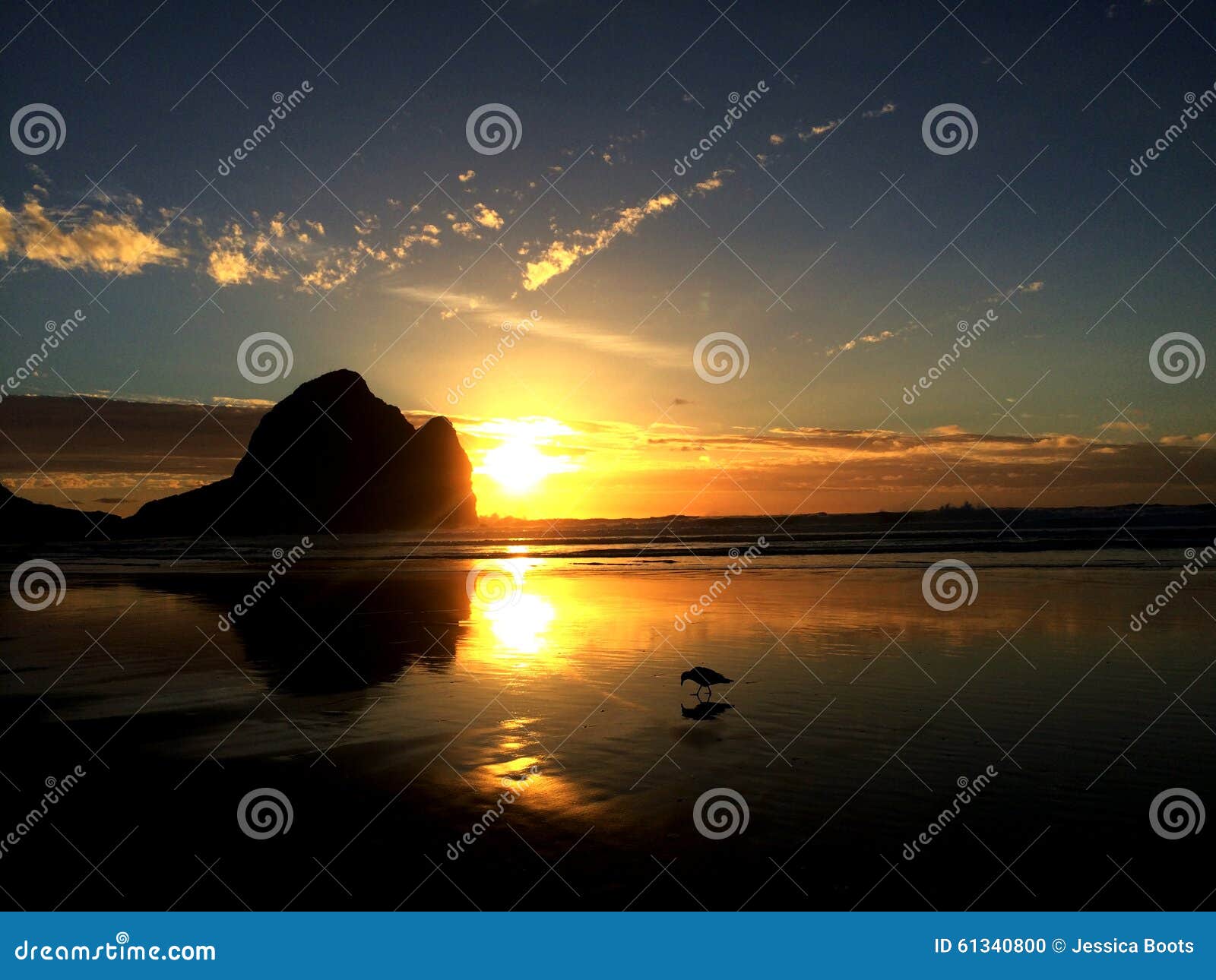 Plage De Piha De Coucher Du Soleil Nouvelle Zélande Photo