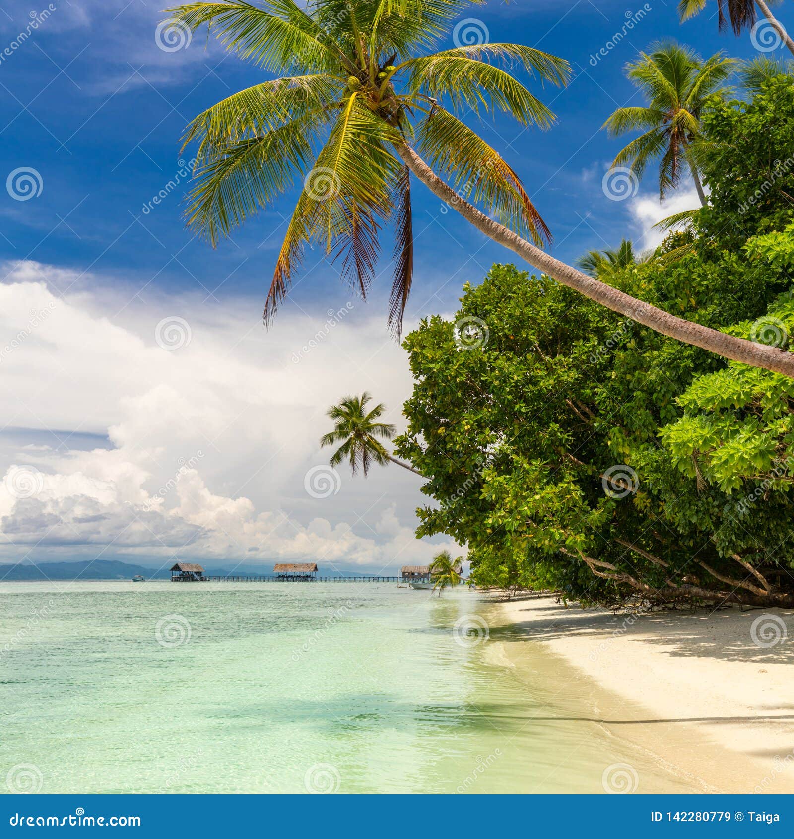 Plage Tropicale Personne Vue De Plage Tropicale De Paradis Avec Des Cocotiers Image Stock Image Du Philippines Cote