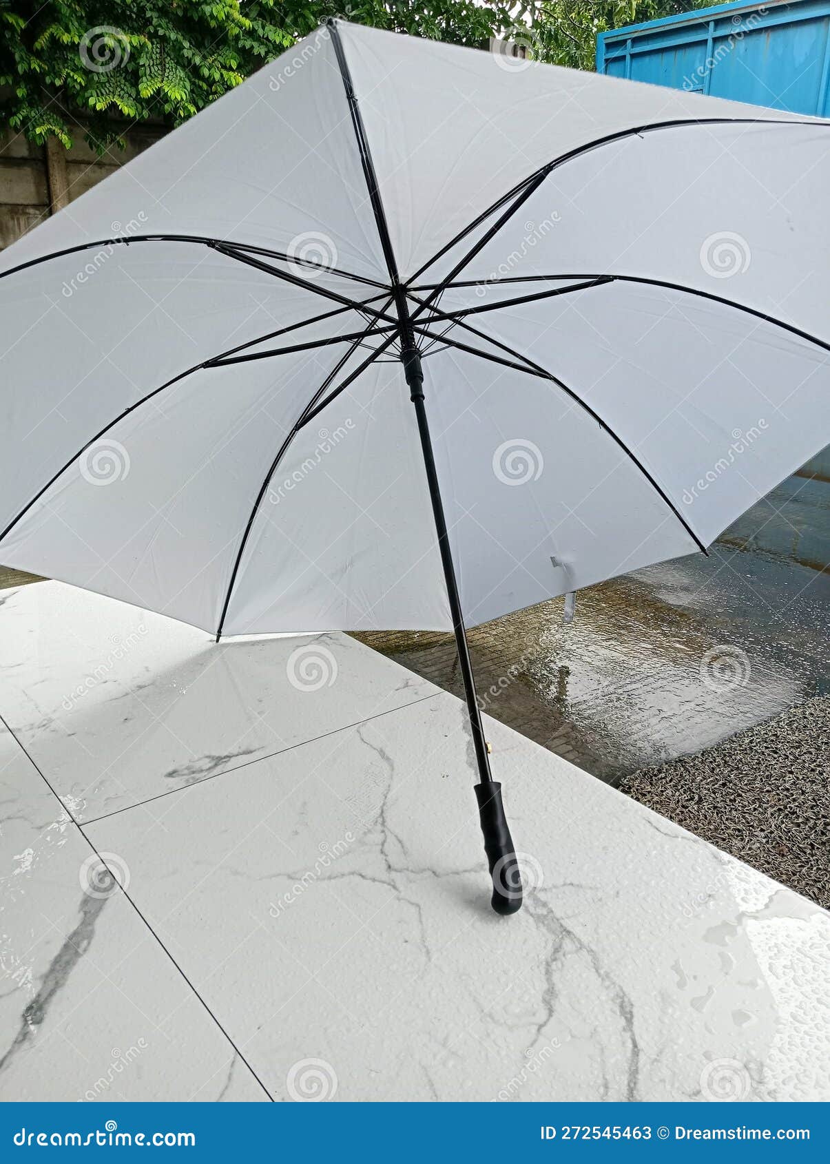 Plain White Umbrella with Black Handle Stock Image Image of window, white 272545463