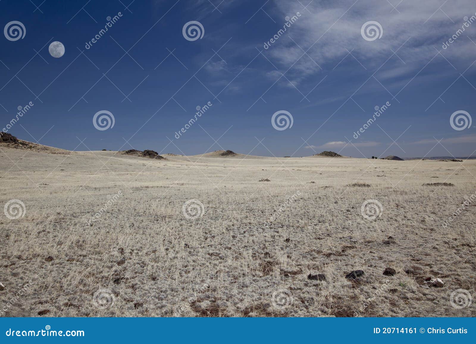 Plains of Northern New Mexico Stock Image Image of gila, grass 20714161