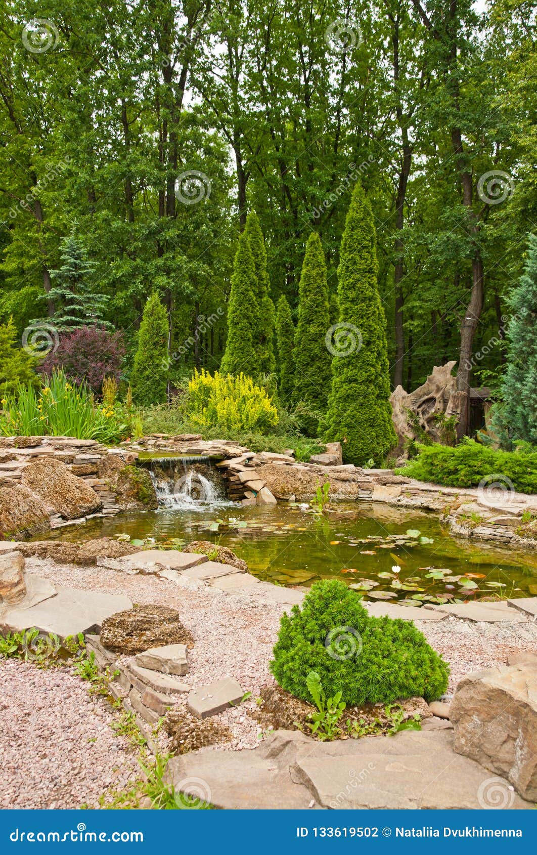 Plan Des Plans Kleiner Teich Mit Seerosen Und Kleiner Wasserfall