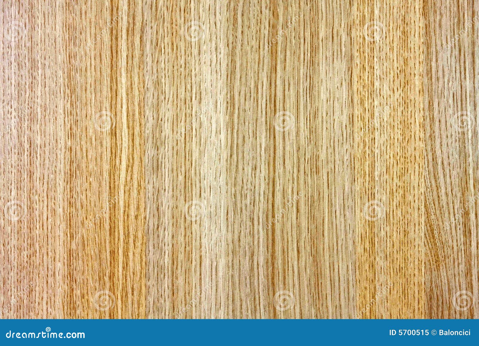 Plank Board Picture. Image 5700515