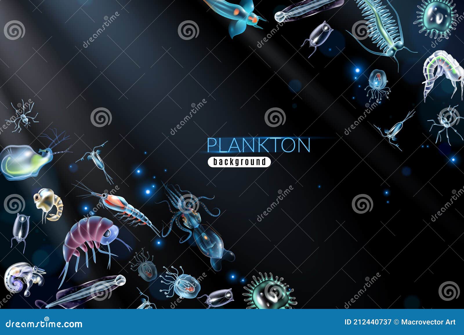 Pictures Of Plankton Background Images HD Pictures and Wallpaper For Free  Download  Pngtree