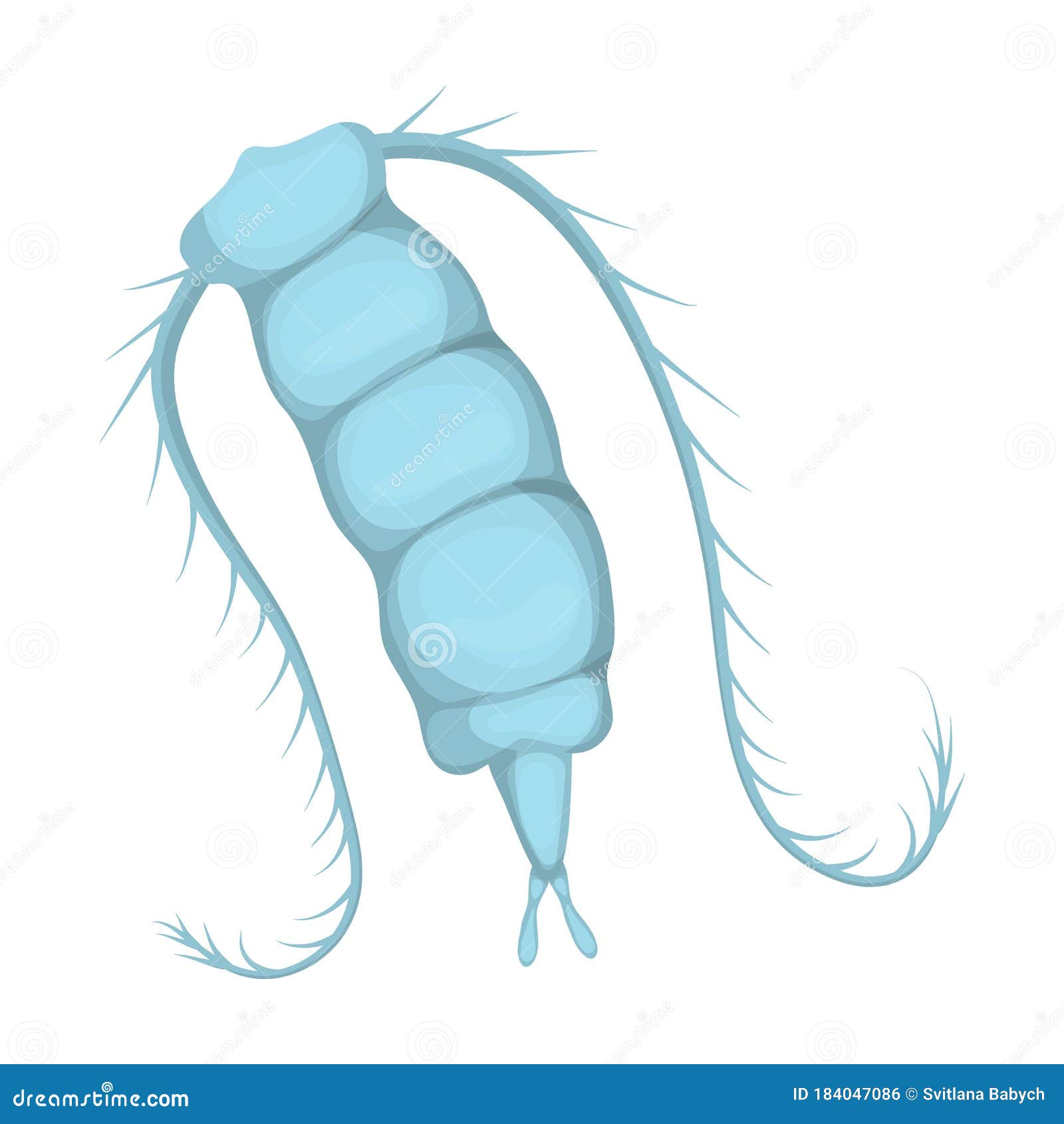 Plankton Vector Aquatic Phytoplankton And Planktonic Microorganism