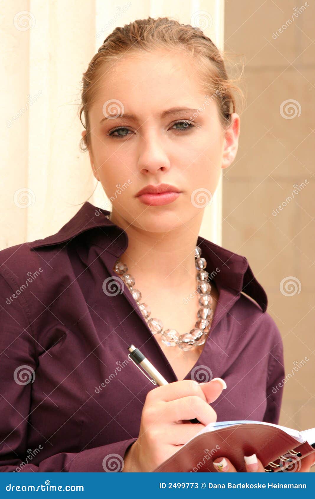 Planner stock image. Image of organizer, beautiful, meeting 2499773