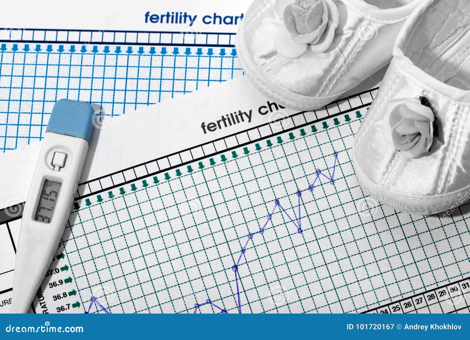 Pregnancy Basal Chart