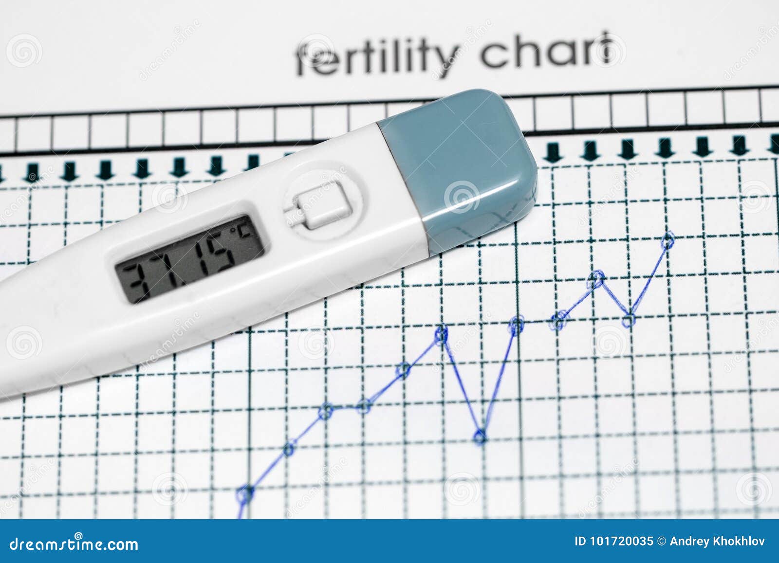 planning of pregnancy. the fertility chart.