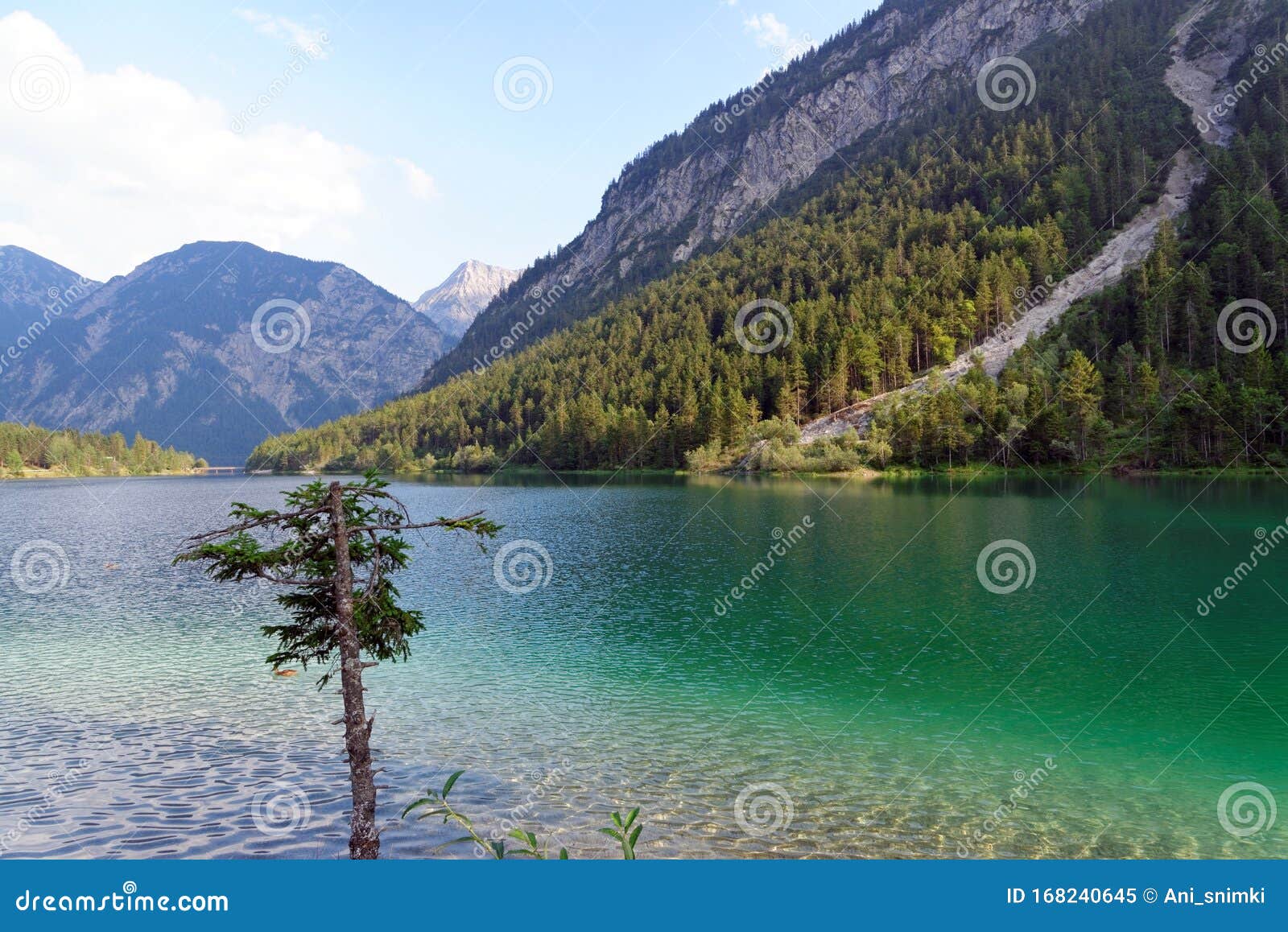 Plansee Lake In The Alps Mountain Stock Image Image Of Scenery