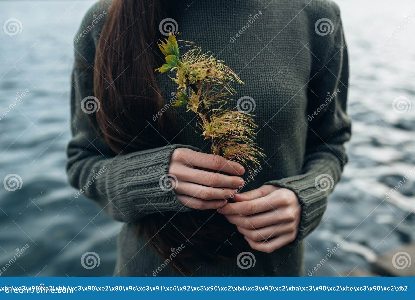 Plant in arms stock photo. Image of blossoming, branch 95020816