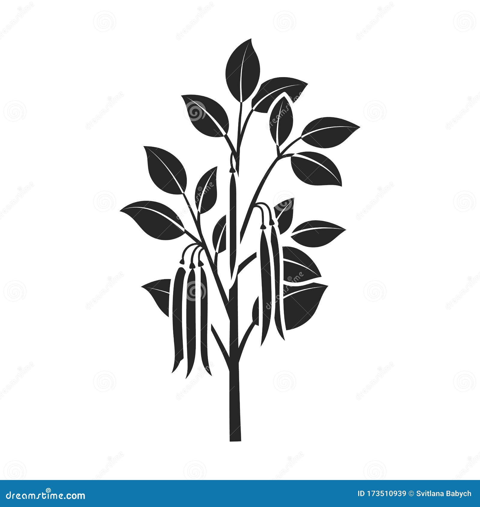 Plant Of Bean Vector Icon.Black Vector Icon Isolated On White