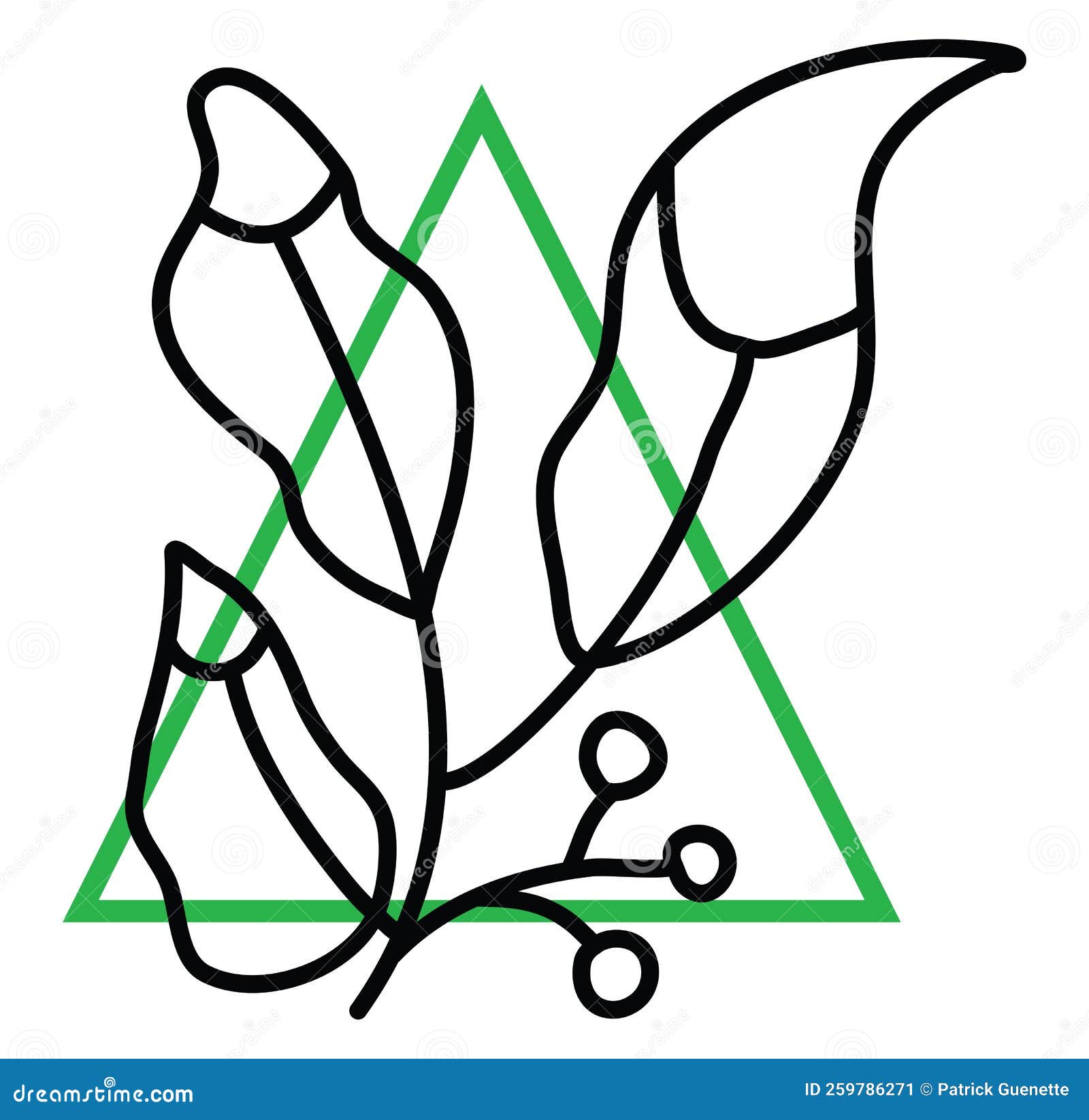 Plant with Big Leaves, Icon Stock Vector Illustration of texture