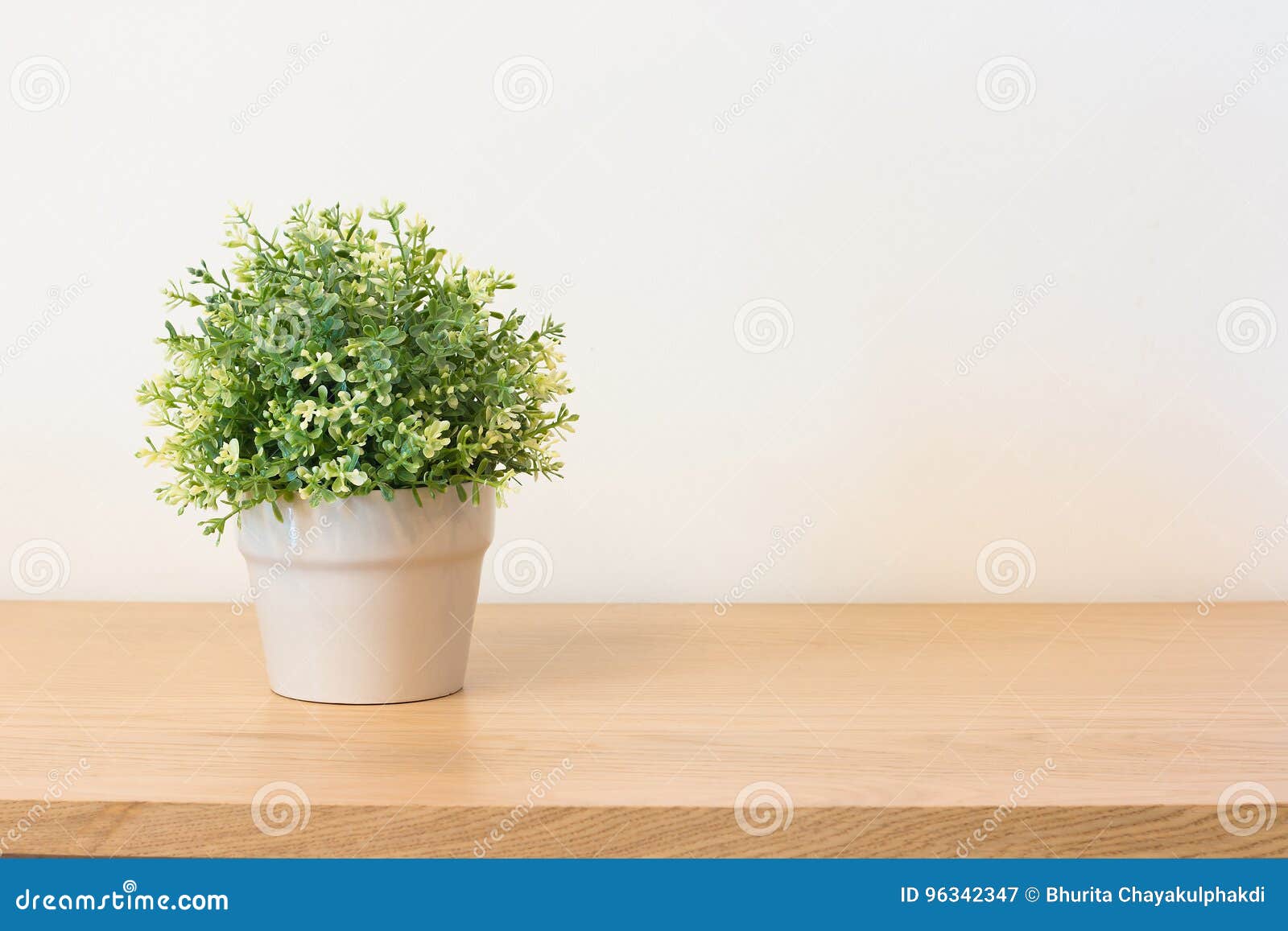 Plant on book shelf stock image. Image of modern, book 96342347