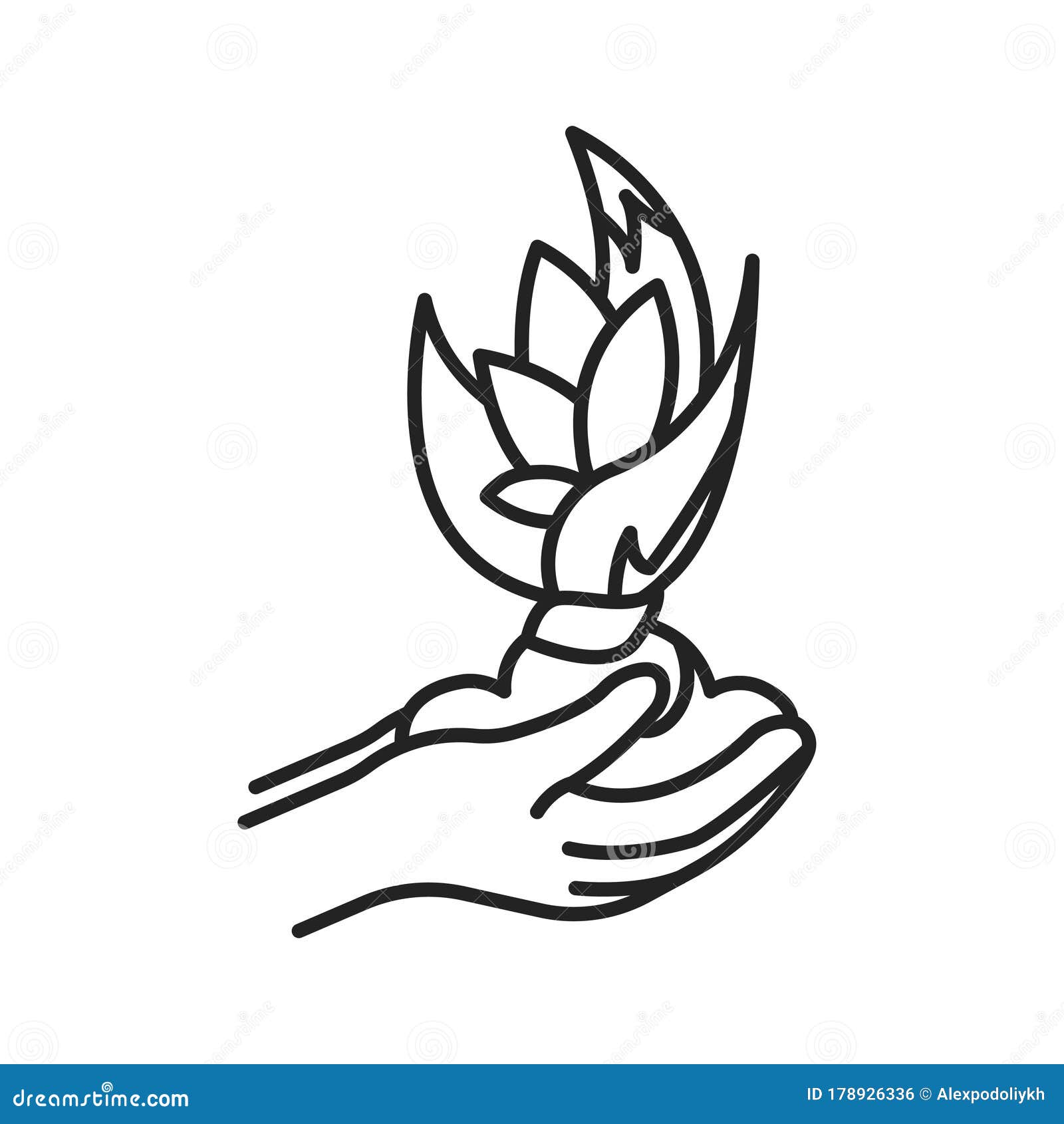 plant care black line icon. complex of care procedures for plant rotation. pictogram for web page, mobile app, promo. ui ux gui
