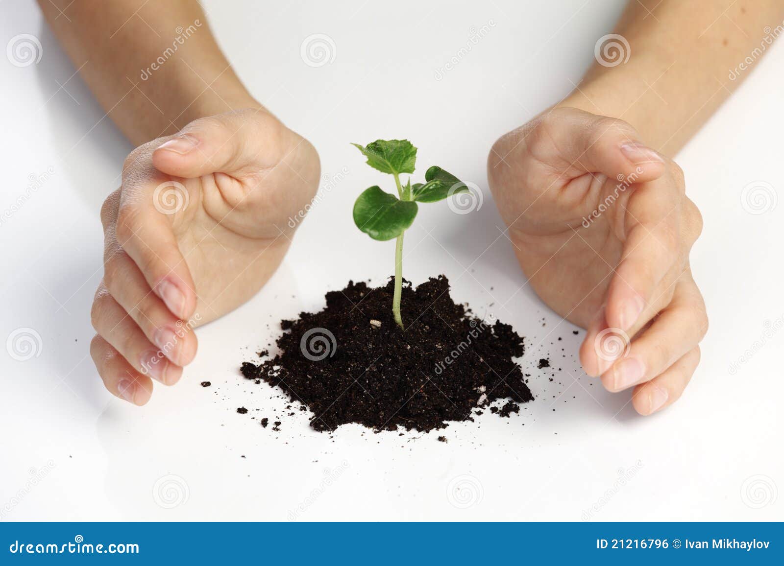 Plant cover stock photo. Image of environmental, green 21216796