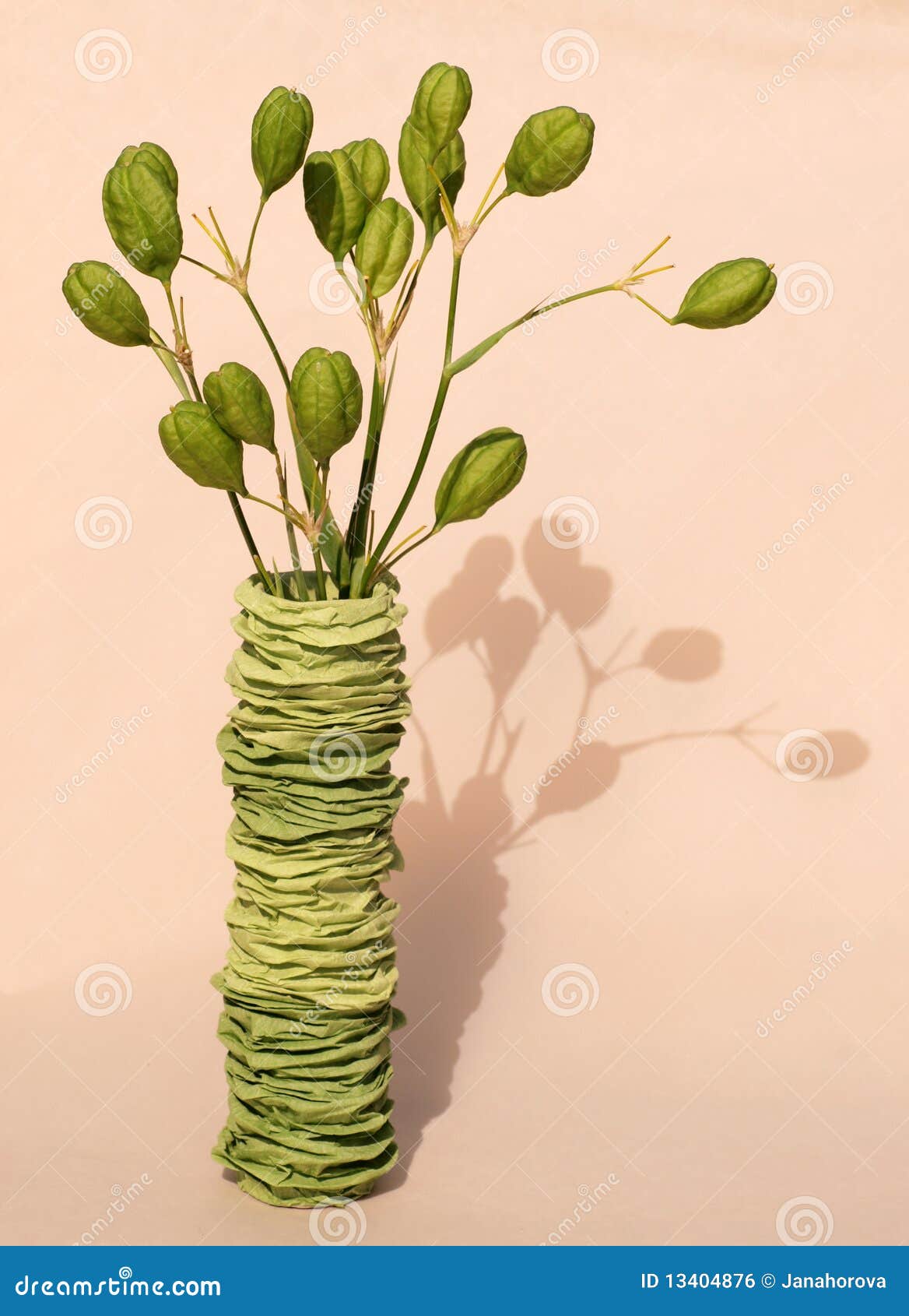 Plant in green vase stock photo. Image of creative, handwork 13404876