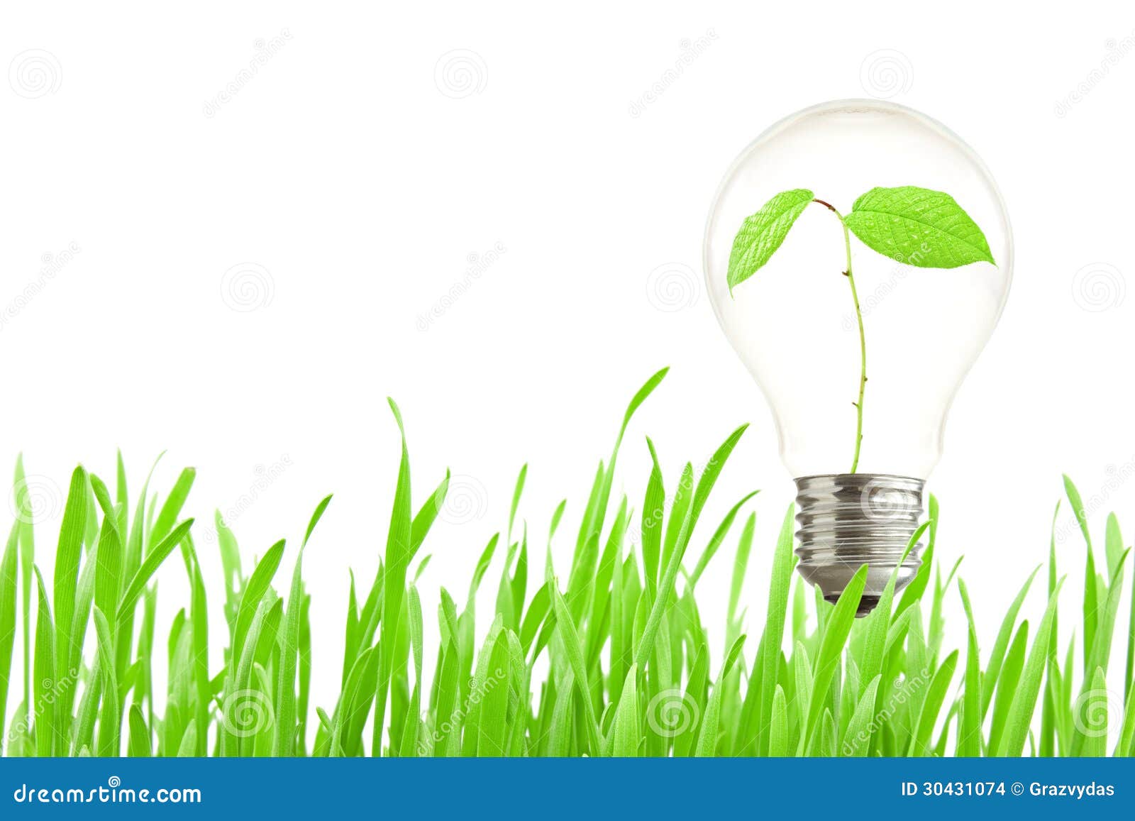 Plant Growing Inside the Light Bulb Stock Photo Image of innovation
