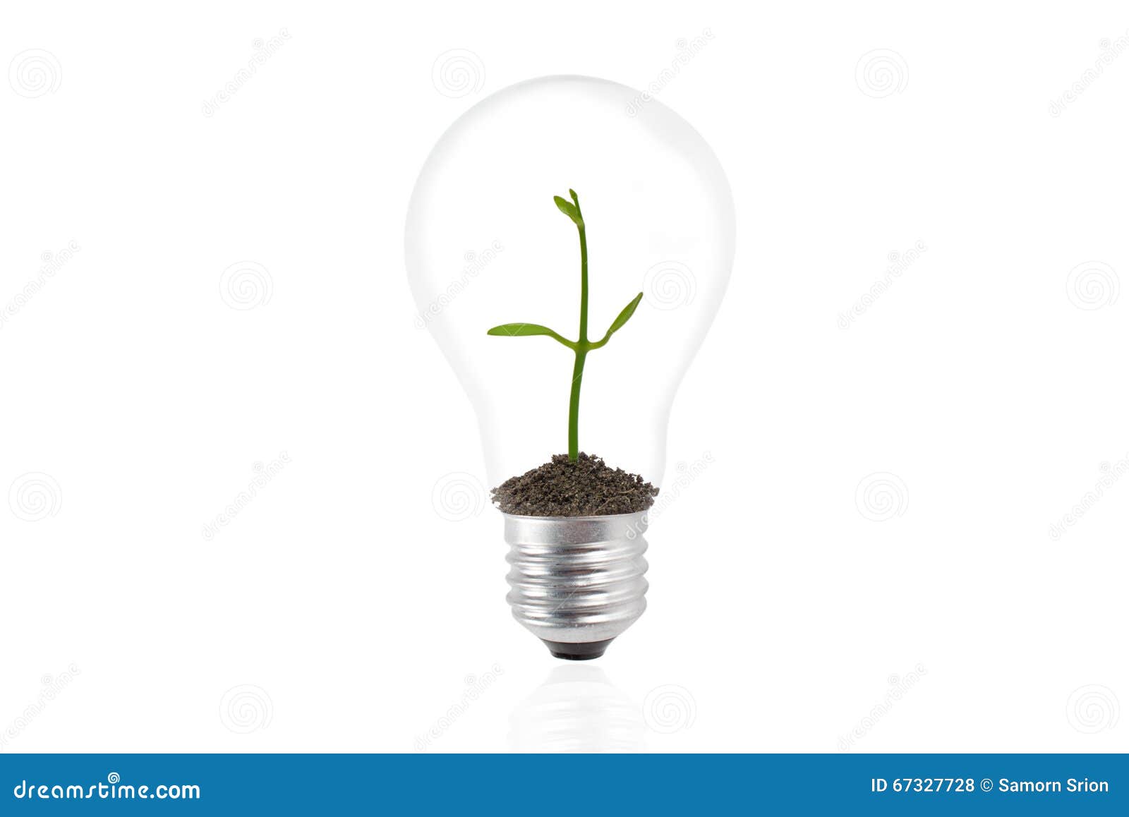Plant Growing Inside the Light Bulb Stock Photo Image of power