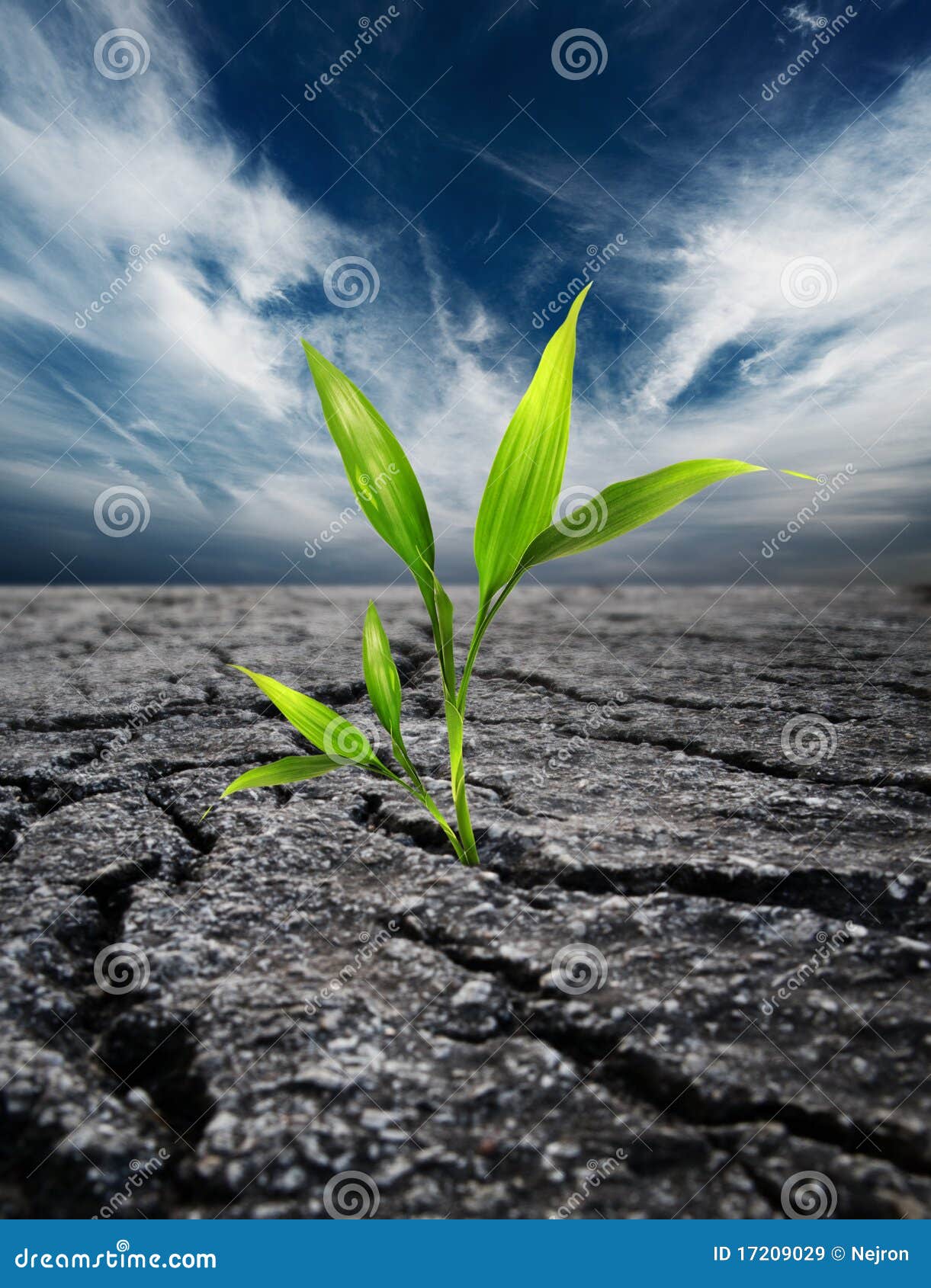Plant Growing Trough Dead Soil Stock Image Image of global, desert