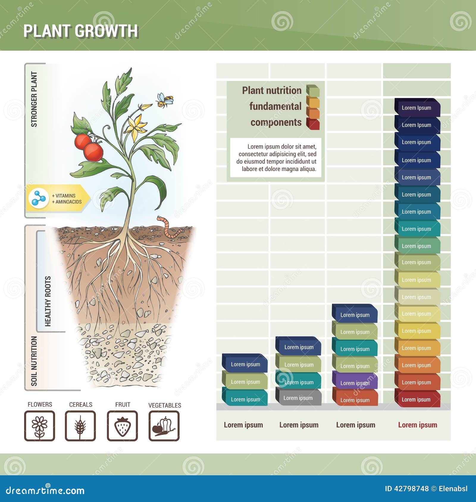 Plant Growth Chart For Students