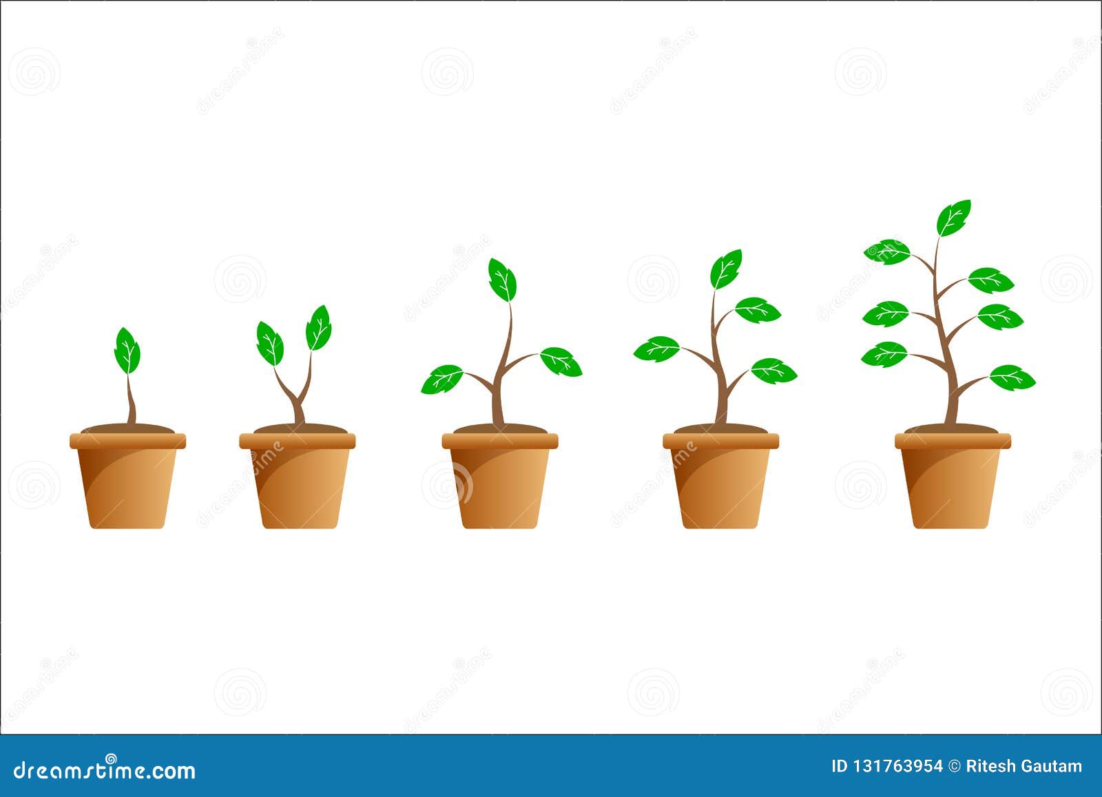 Plant Growth Stages Concept, Vector Stock Vector - Illustration of ...