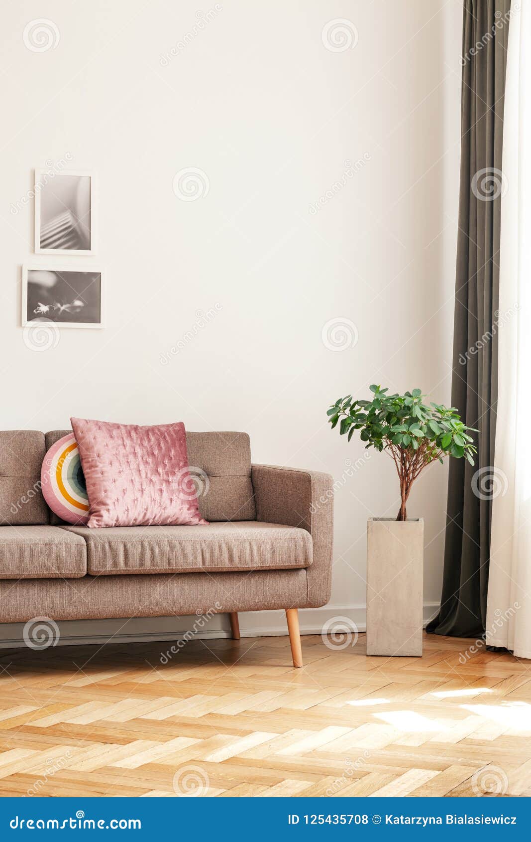 Plant Next To Sofa With Pillows In Living Room Interior 